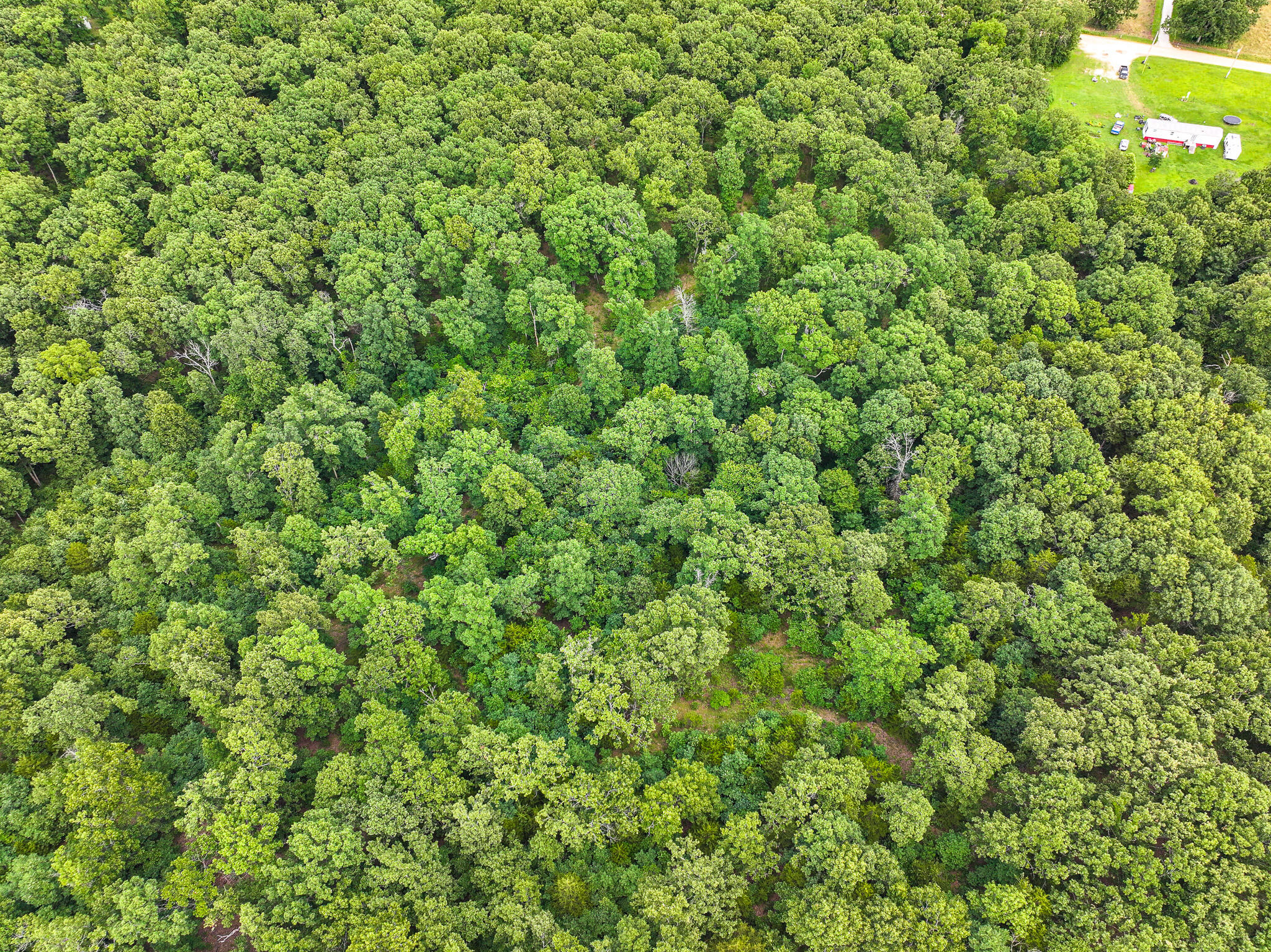 Photo 31 - Land for sale – 0000 SE 1151 Road  Collins, MO
