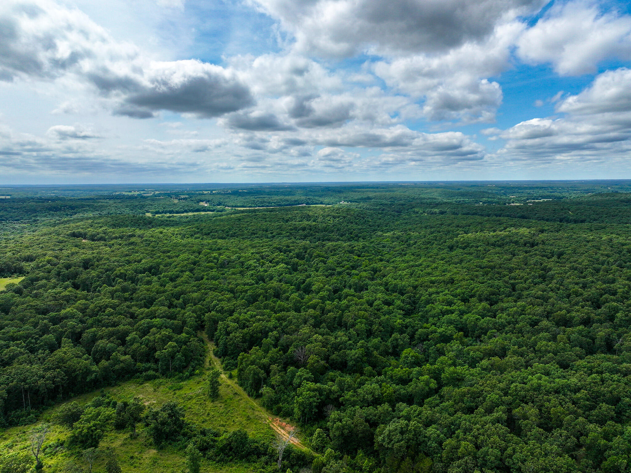 Photo 38 - Land for sale – 0000 SE 1151 Road  Collins, MO