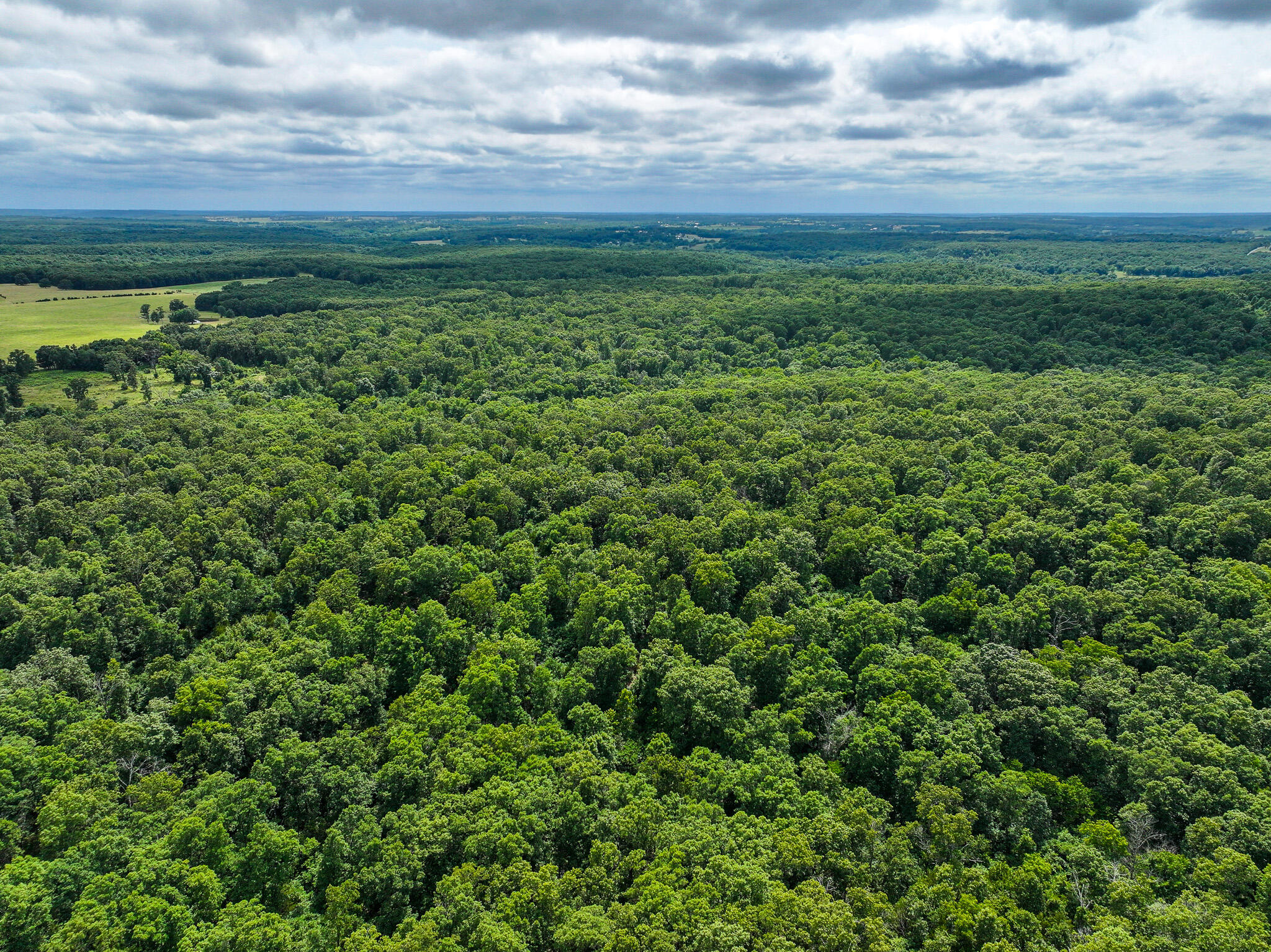 Photo 11 - Land for sale – 0000 SE 1151 Road  Collins, MO