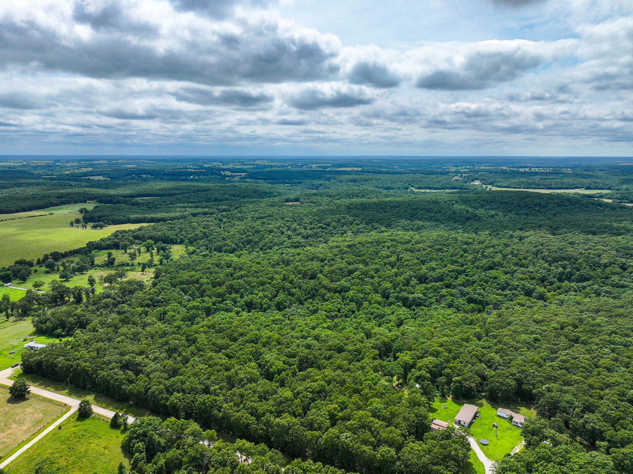 Photo 6 - Land for sale – 0000 SE 1151 Road  Collins, MO
