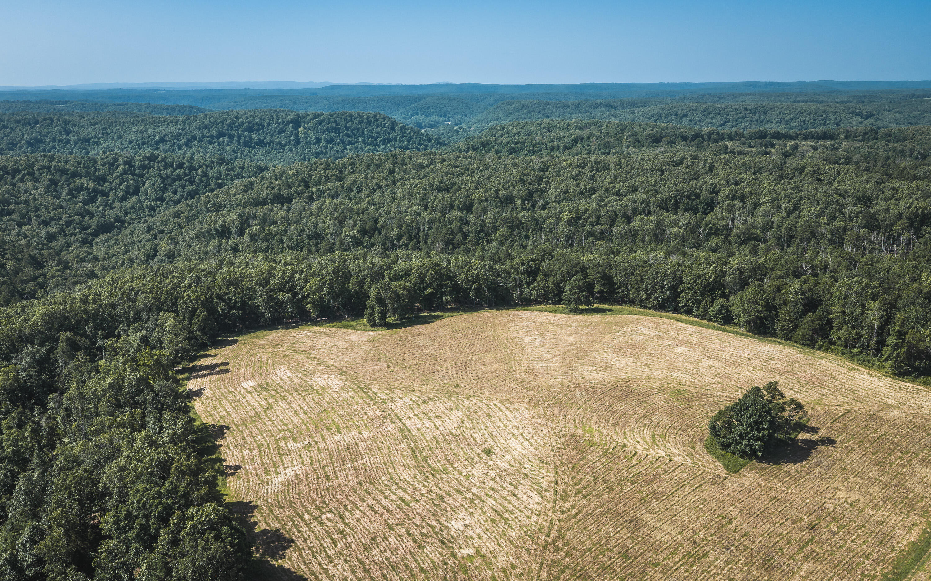 Photo 6 - Land for sale – Tract 6  Private Drive  Norwood, MO