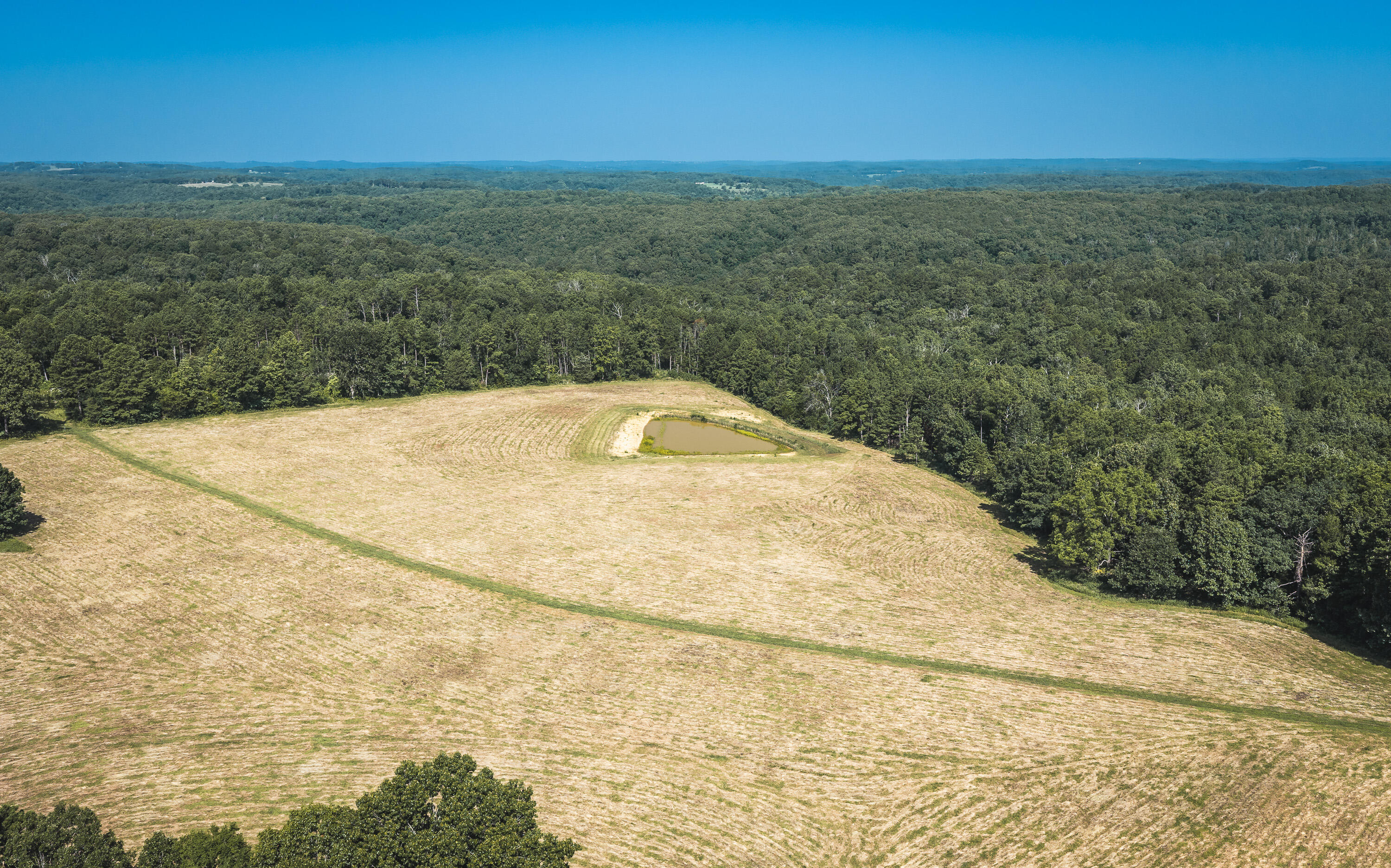 Photo 4 - Land for sale – Tract 6  Private Drive  Norwood, MO