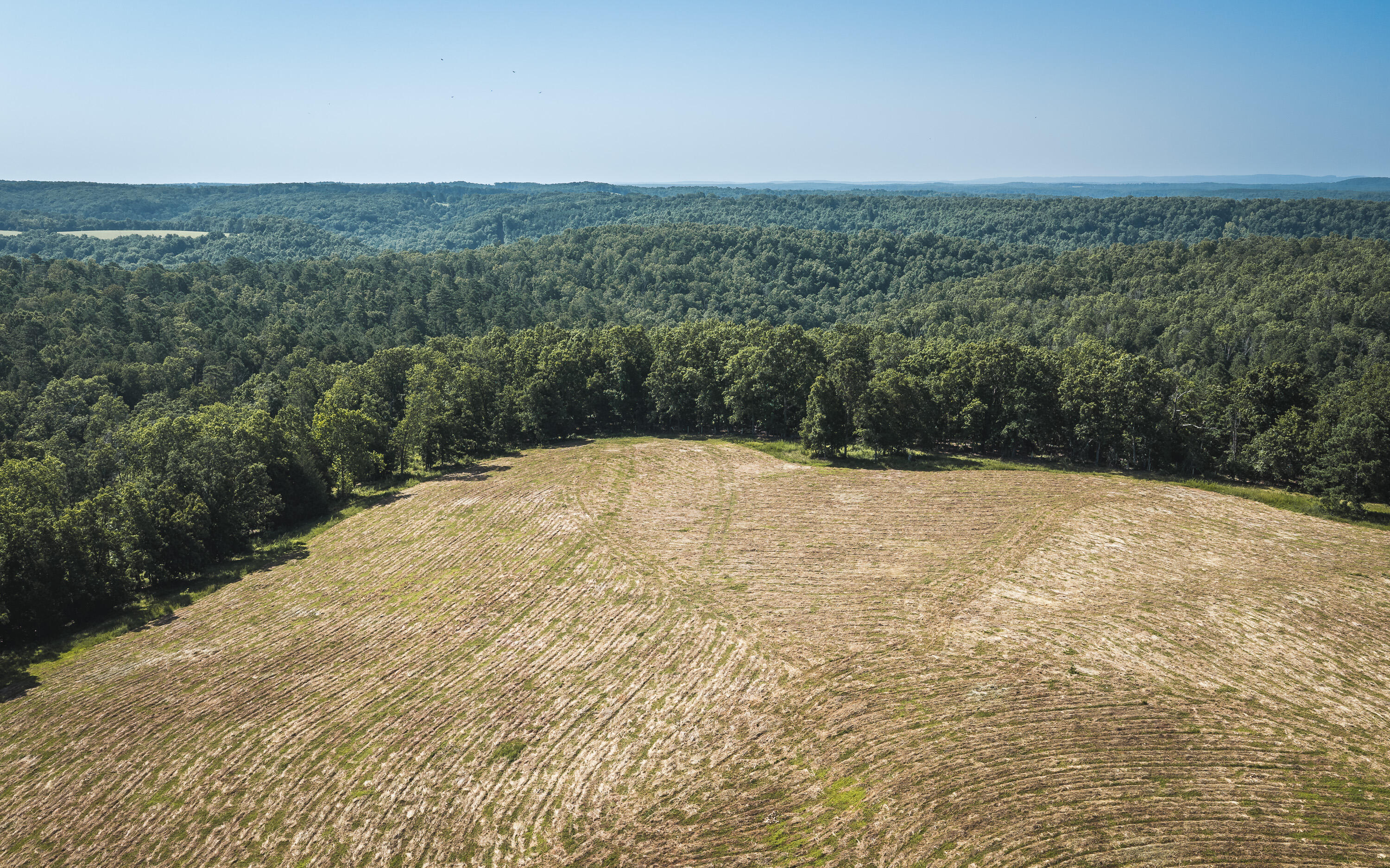 Photo 8 - Land for sale – Tract 6  Private Drive  Norwood, MO
