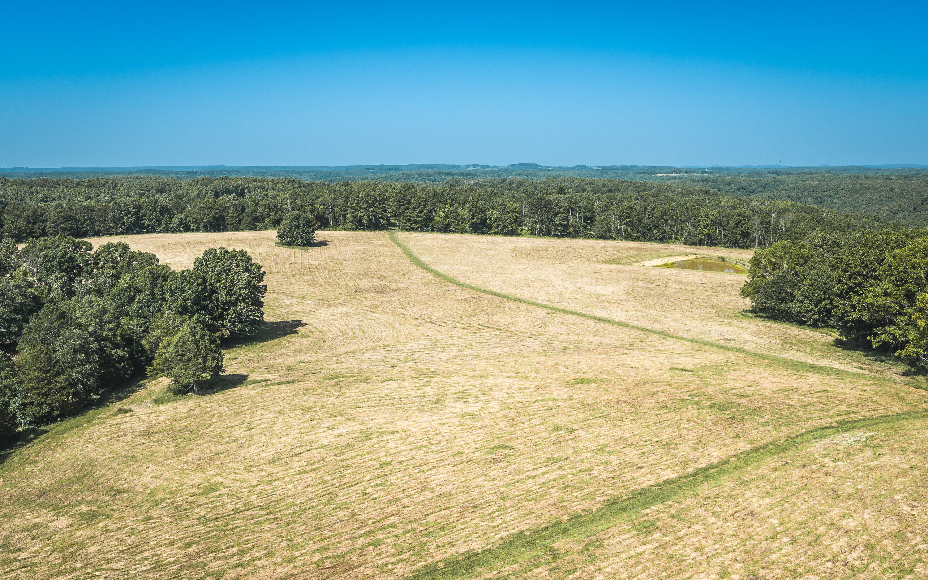 Photo 2 - Land for sale – Tract 6  Private Drive  Norwood, MO