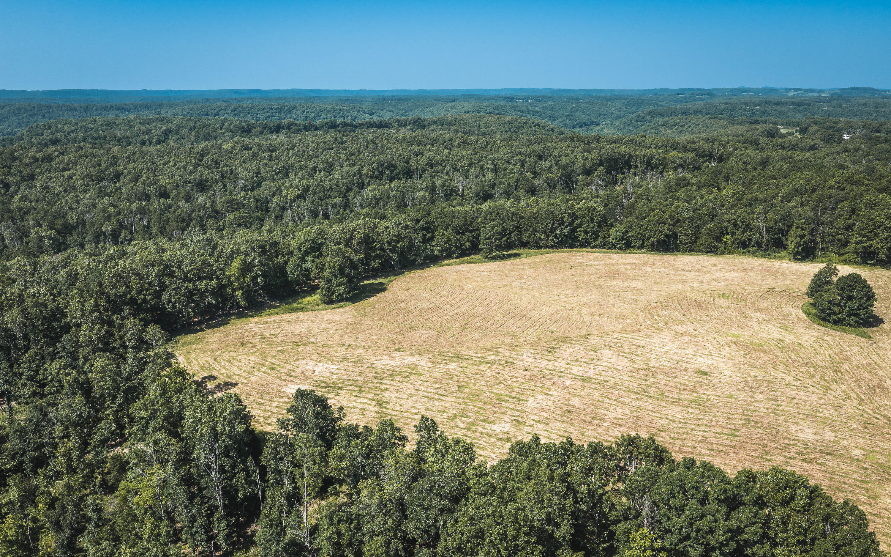 Photo 3 - Land for sale – Tract 6  Private Drive  Norwood, MO