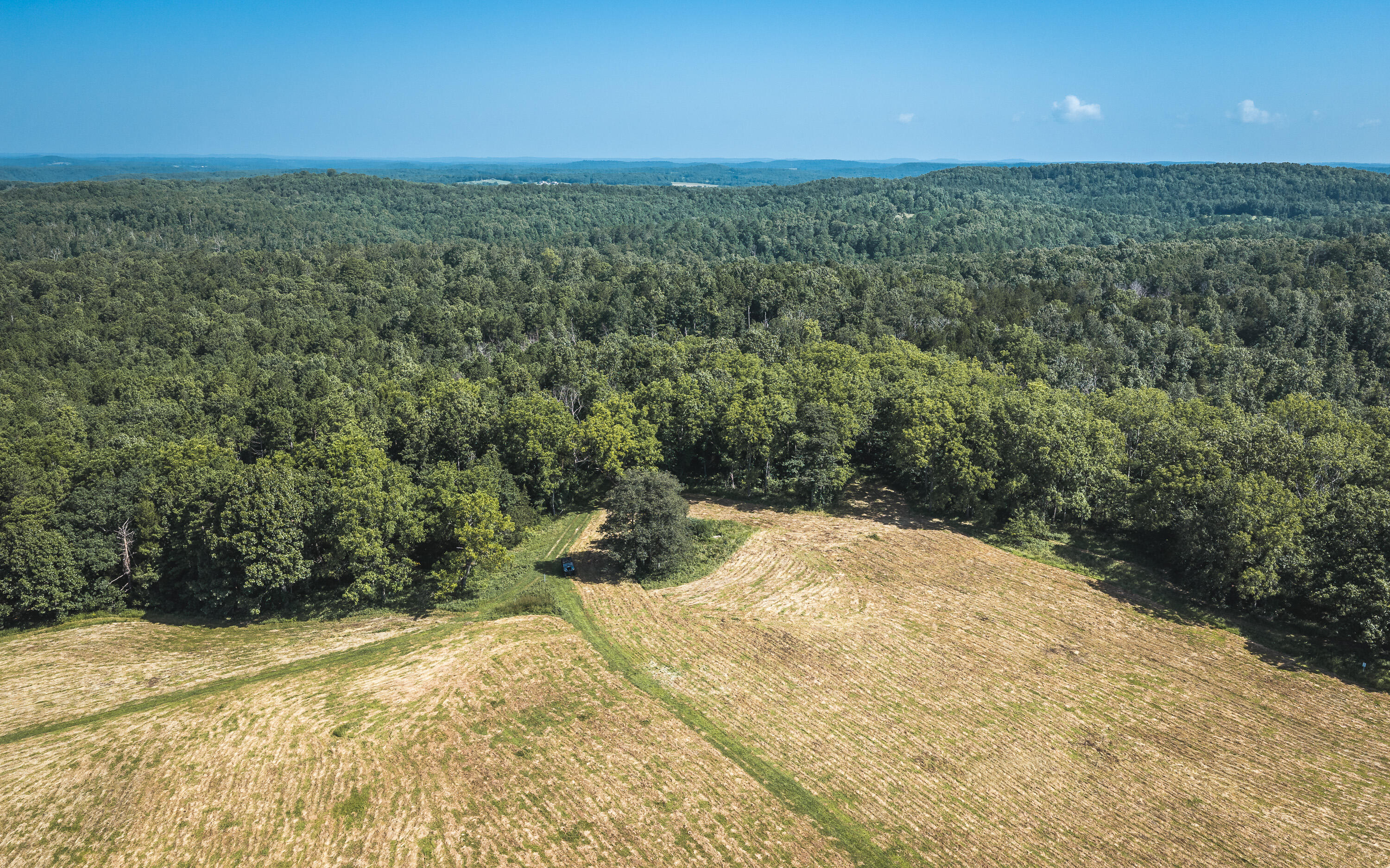 Photo 5 - Land for sale – Tract 6  Private Drive  Norwood, MO