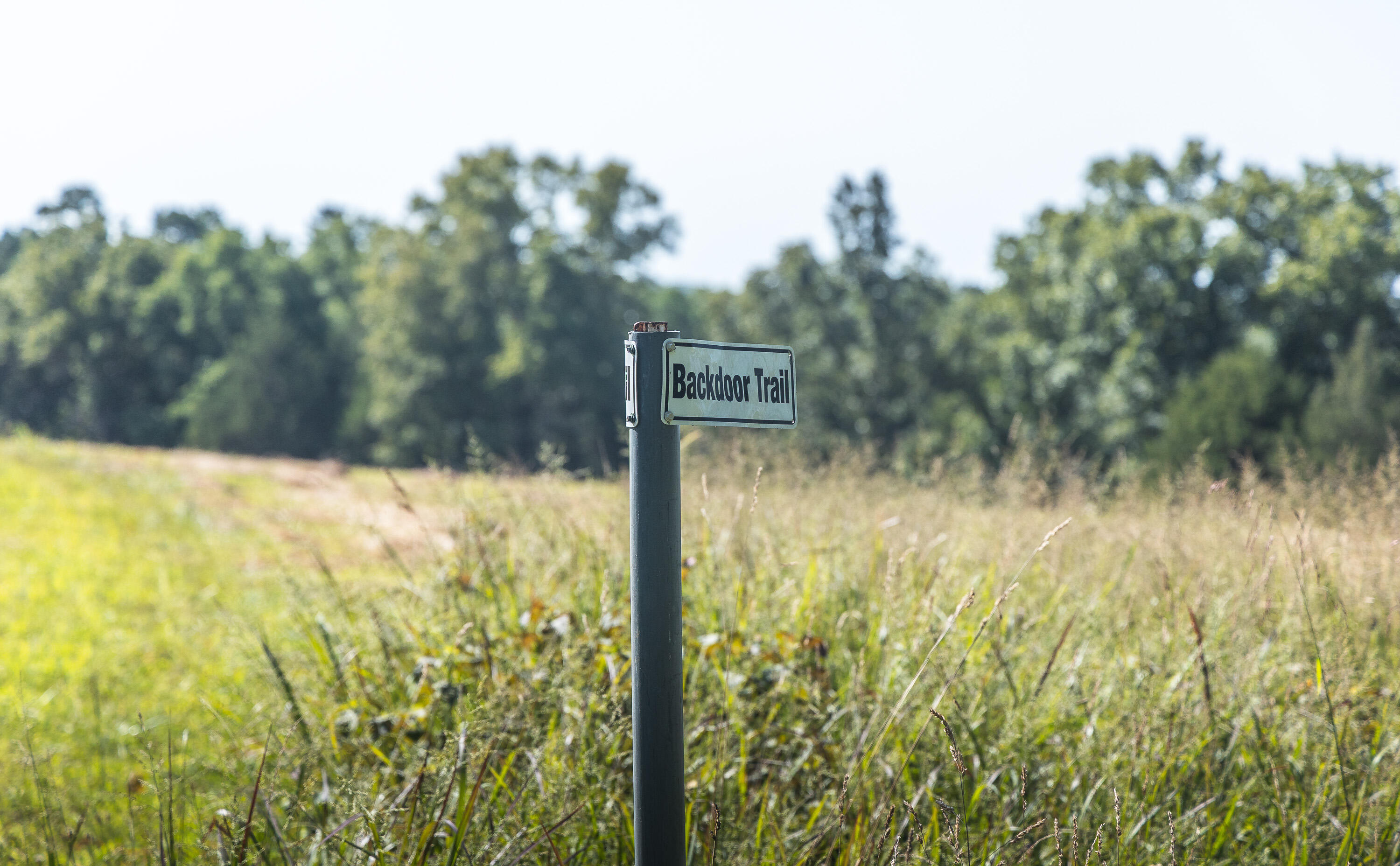 Land for sale – Tract 6  Private Drive  Norwood, MO