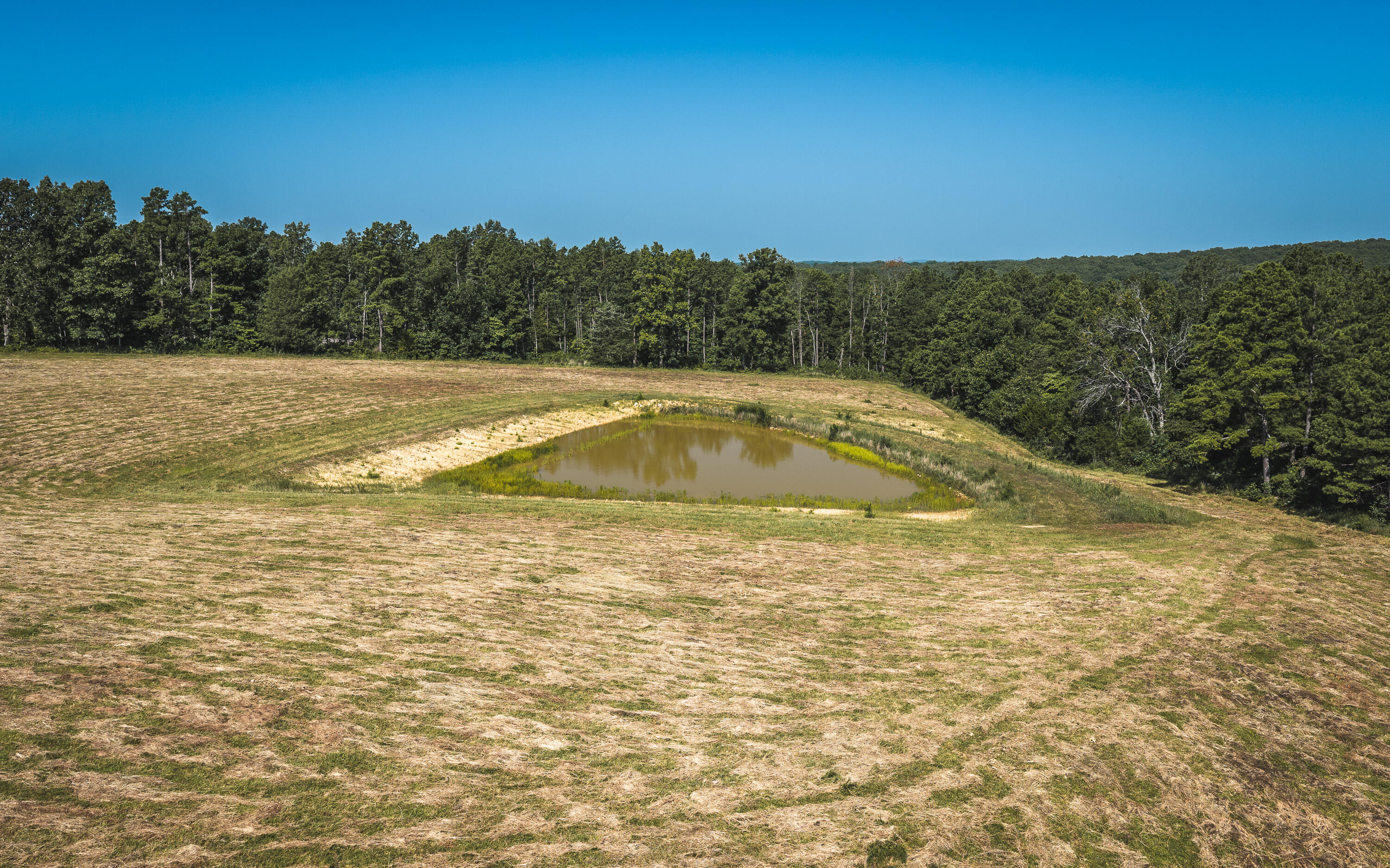 Photo 7 - Land for sale – Tract 6  Private Drive  Norwood, MO