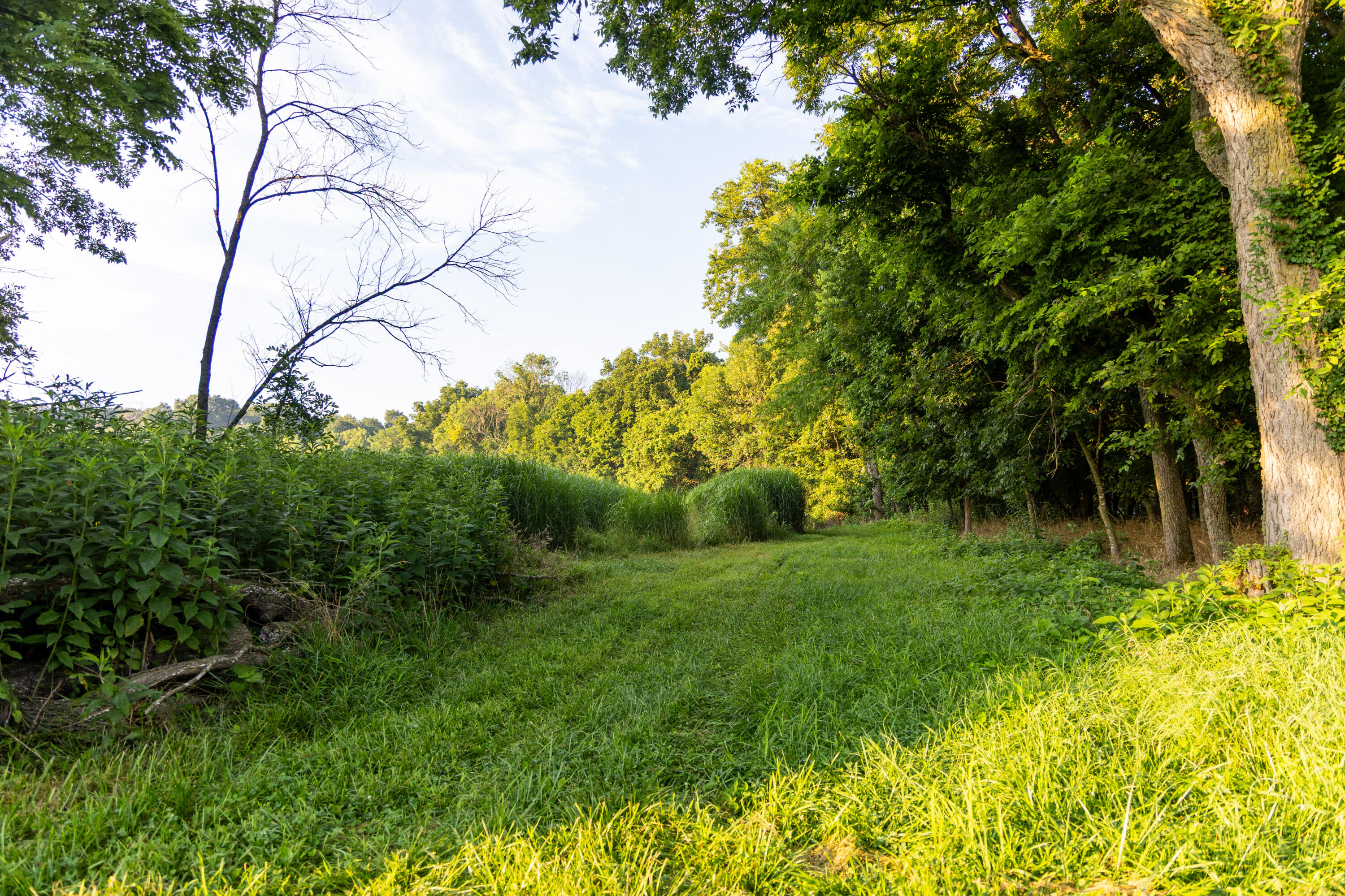 Photo 49 - Farm for sale – 5492  Cedar Lane  Reeds, MO