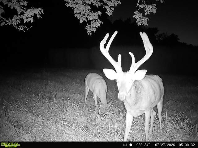 Photo 71 - Farm for sale – 5492  Cedar Lane  Reeds, MO