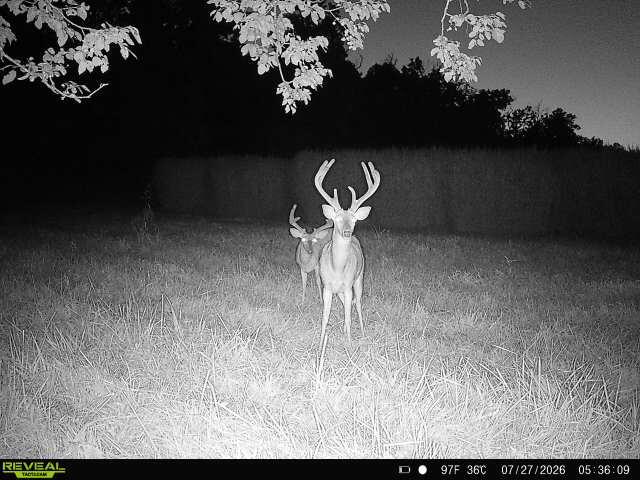 Photo 72 - Farm for sale – 5492  Cedar Lane  Reeds, MO