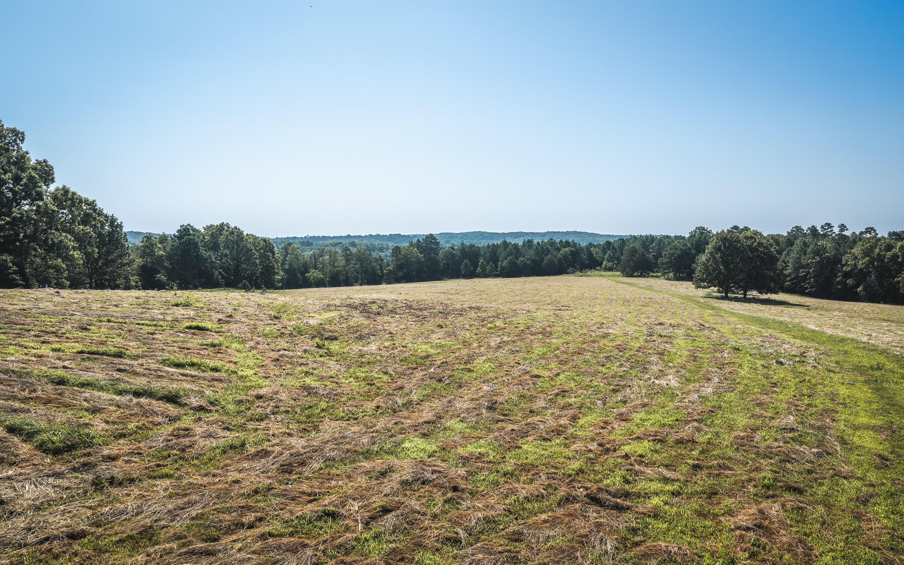Photo 2 - Land for sale – Tract 7  Private Drive  Norwood, MO
