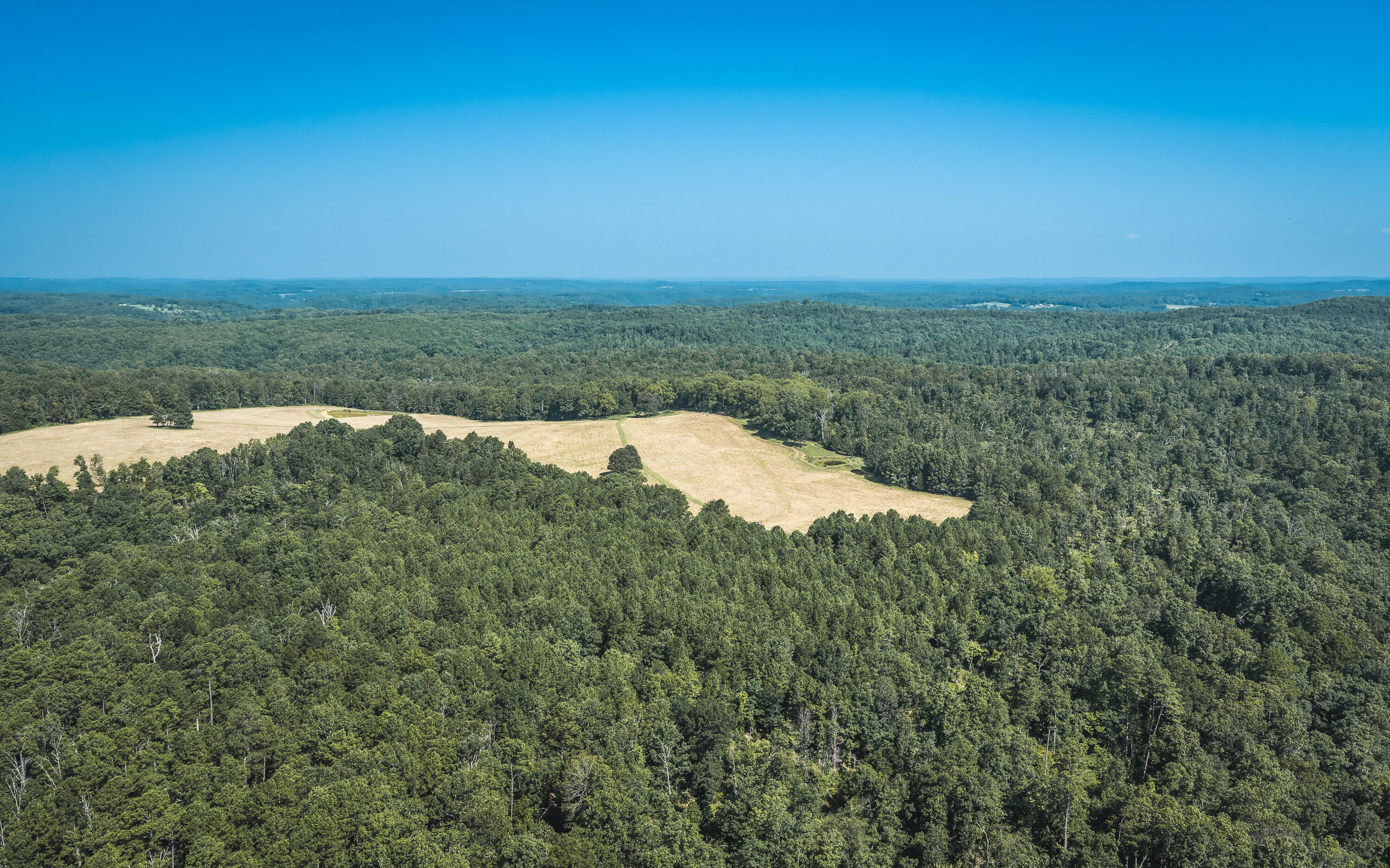 Photo 8 - Land for sale – Tract 7  Private Drive  Norwood, MO