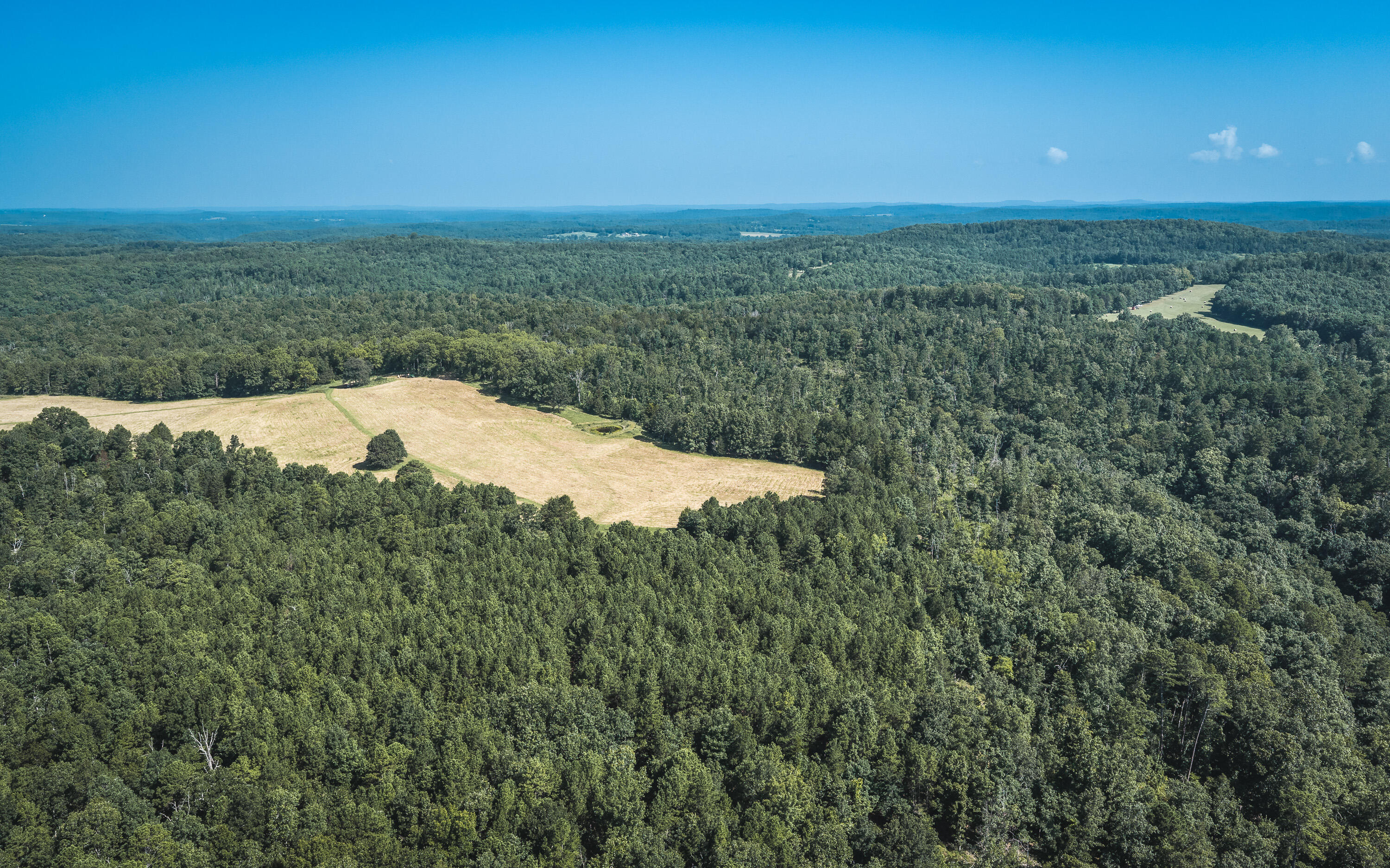 Photo 7 - Land for sale – Tract 7  Private Drive  Norwood, MO