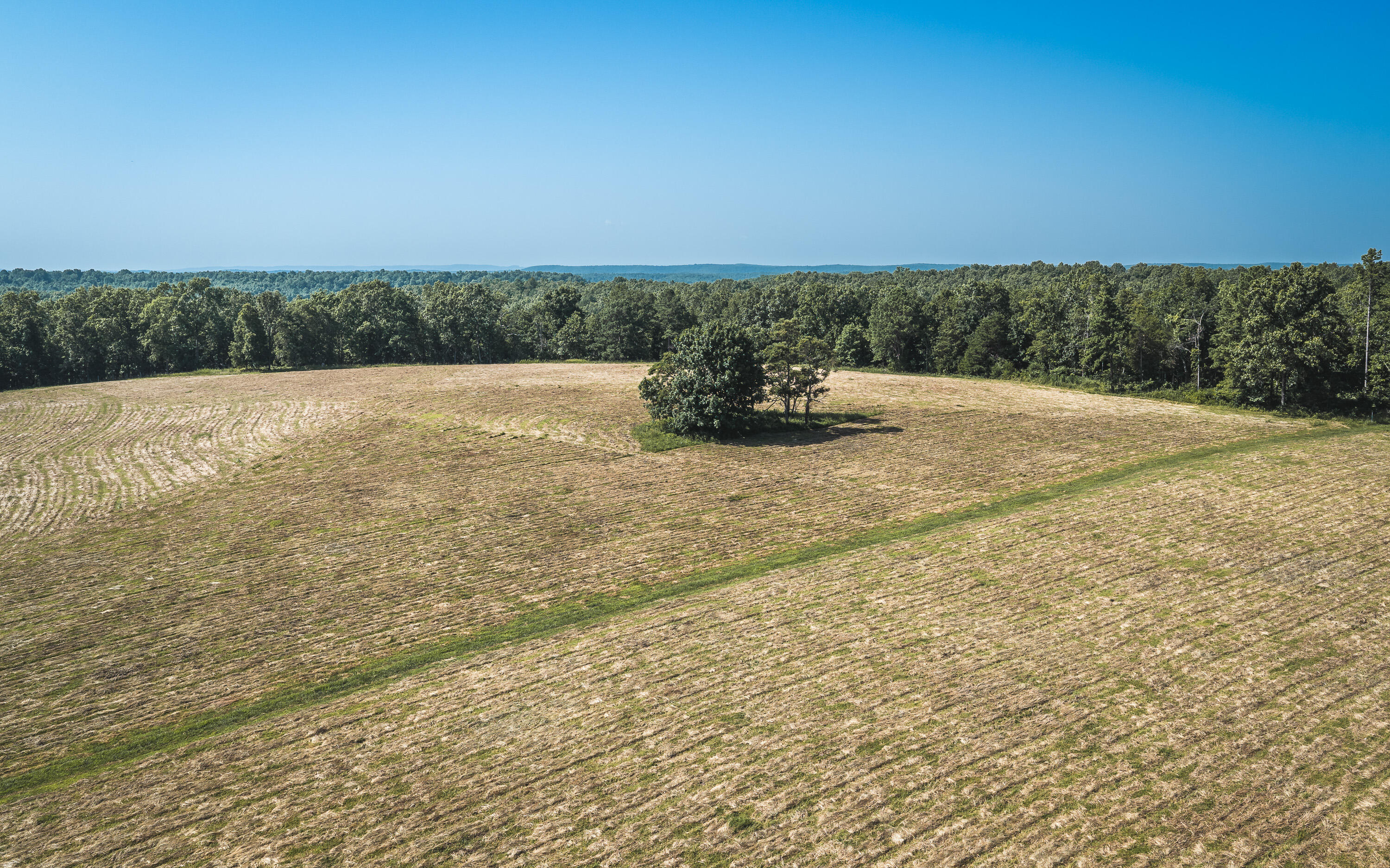 Photo 12 - Land for sale – Tract 7  Private Drive  Norwood, MO