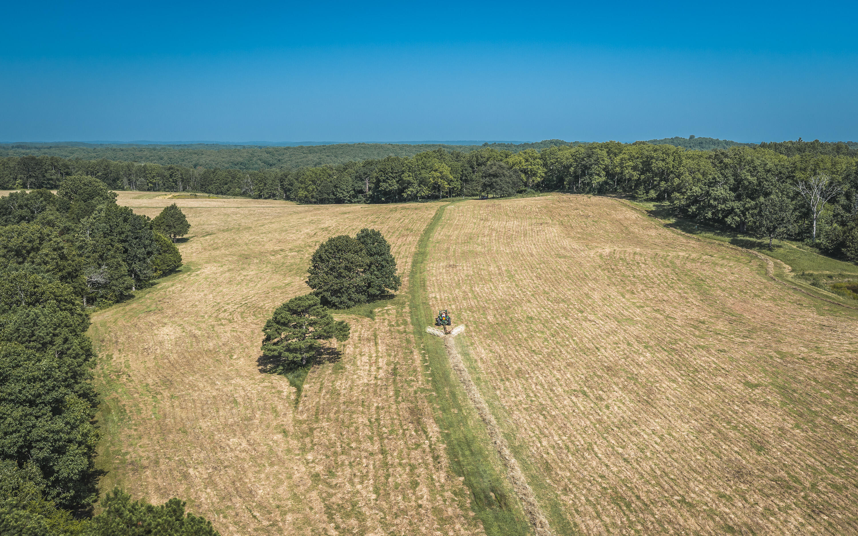 Photo 9 - Land for sale – Tract 7  Private Drive  Norwood, MO