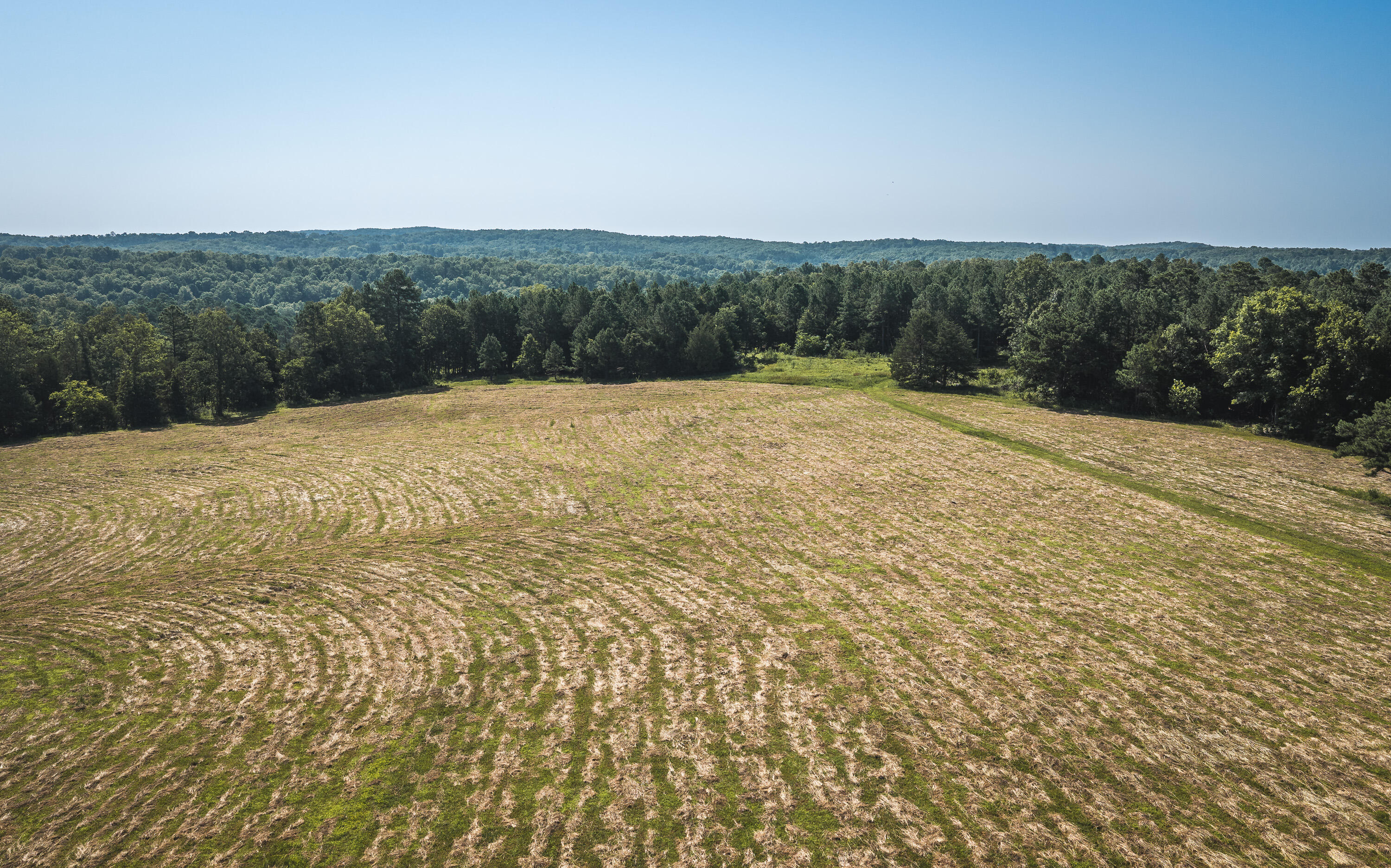 Photo 3 - Land for sale – Tract 7  Private Drive  Norwood, MO