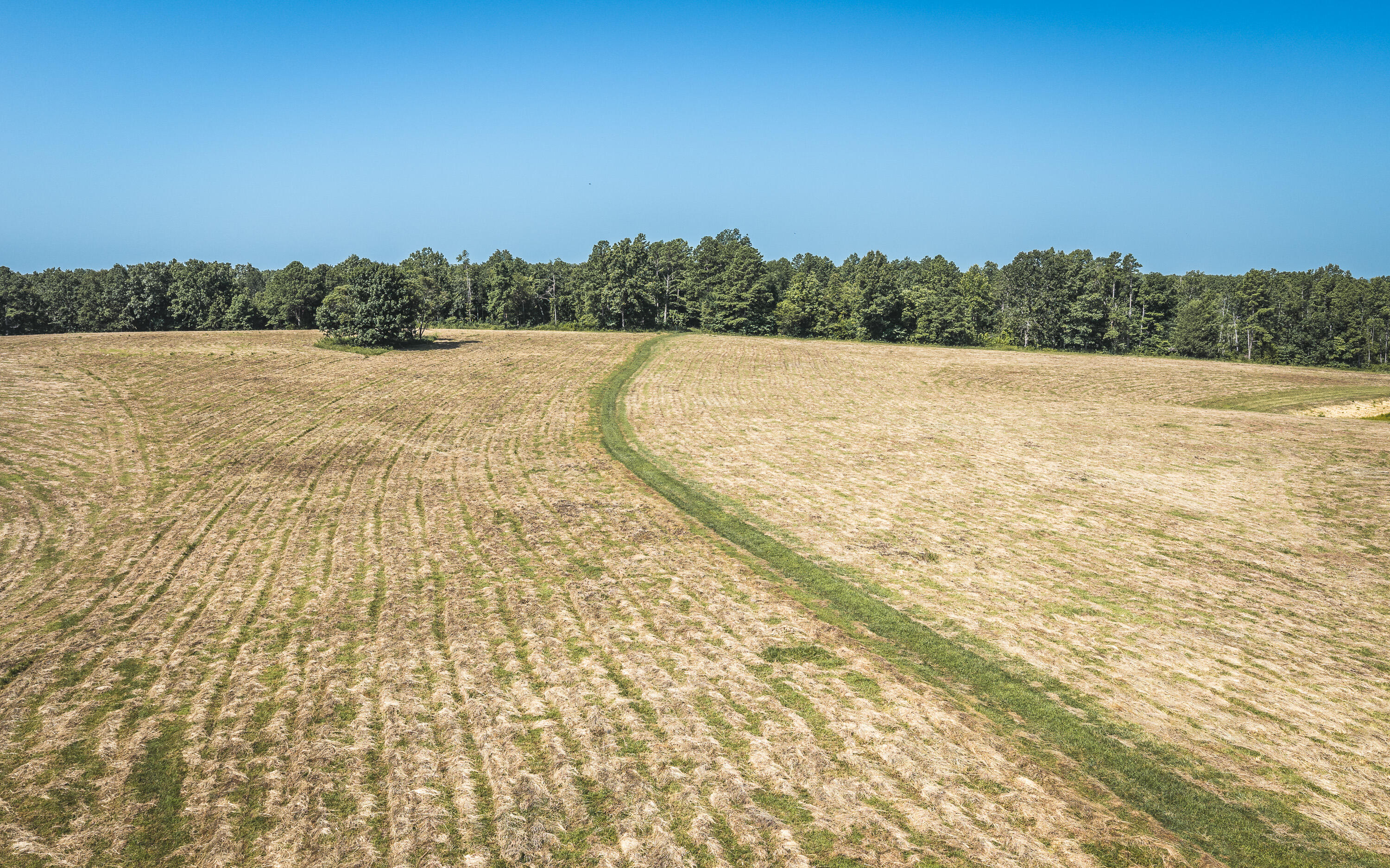 Photo 11 - Land for sale – Tract 7  Private Drive  Norwood, MO