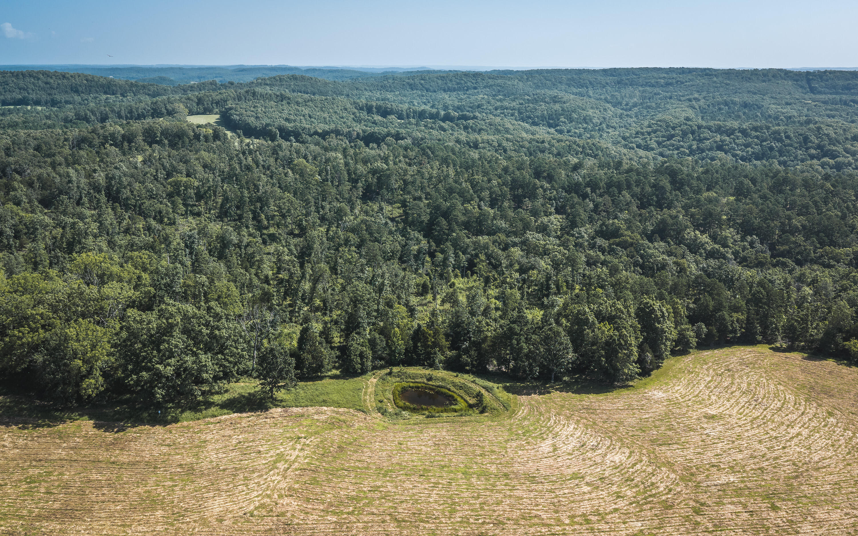 Photo 4 - Land for sale – Tract 7  Private Drive  Norwood, MO