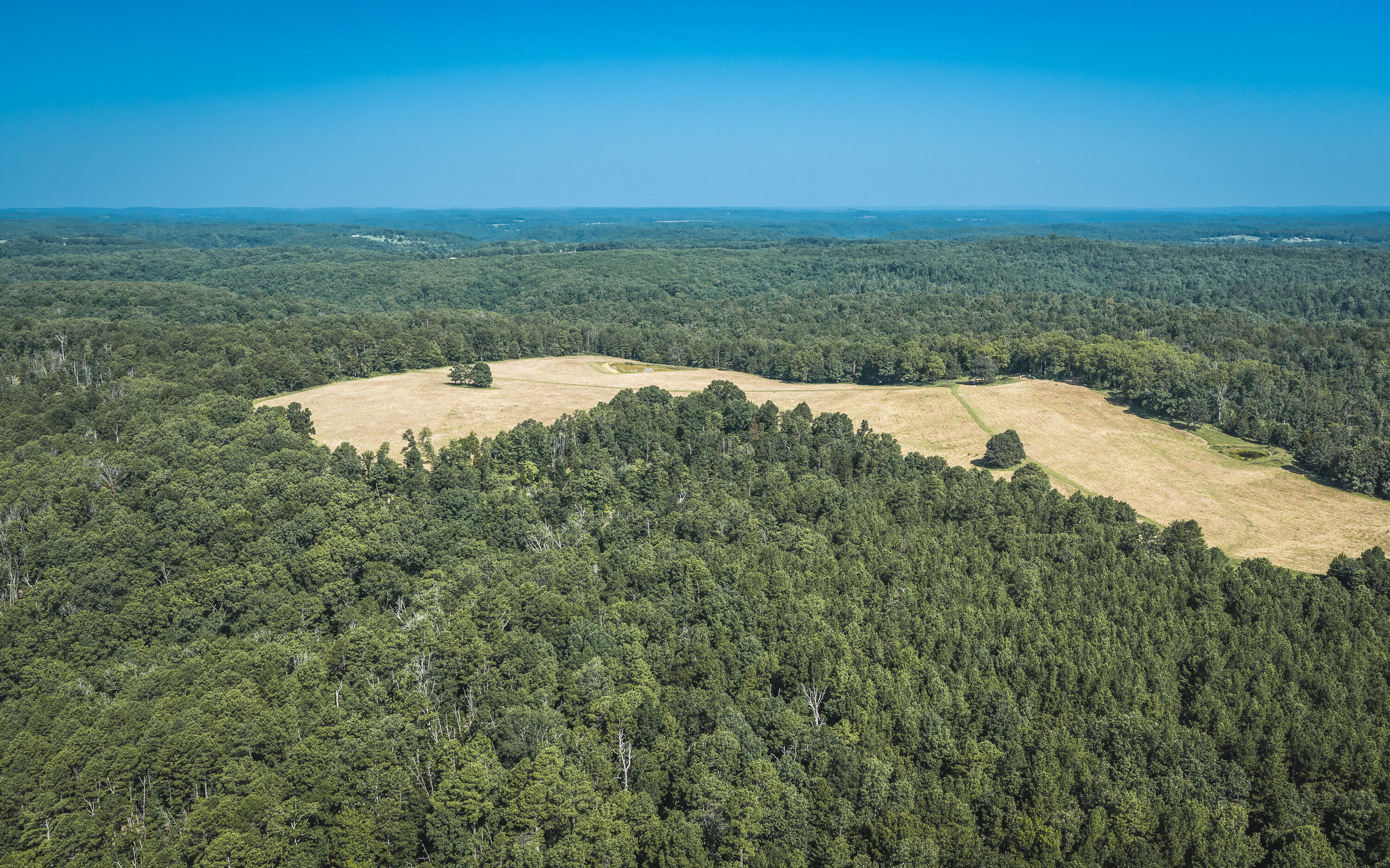Photo 6 - Land for sale – Tract 7  Private Drive  Norwood, MO