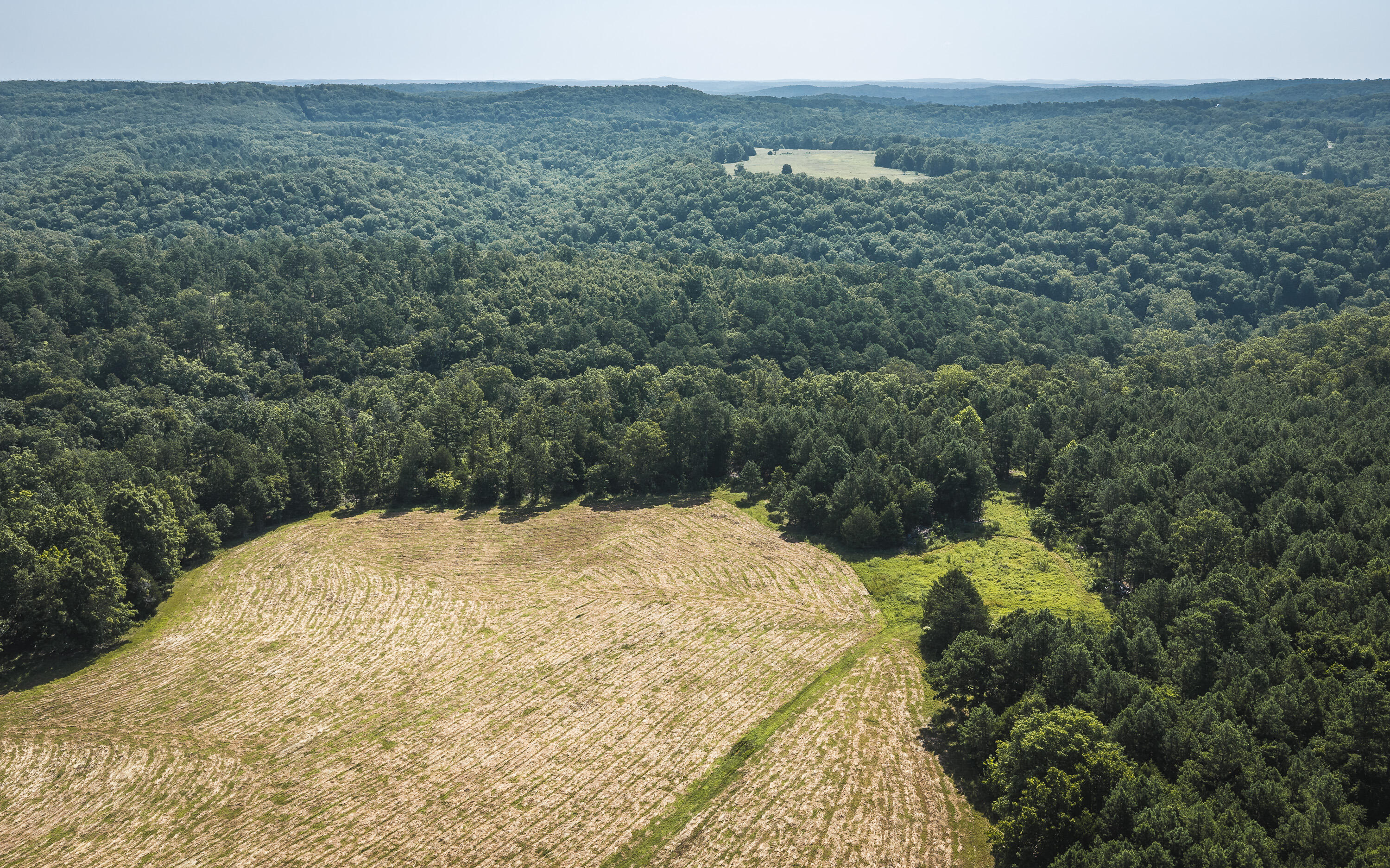 Photo 5 - Land for sale – Tract 7  Private Drive  Norwood, MO