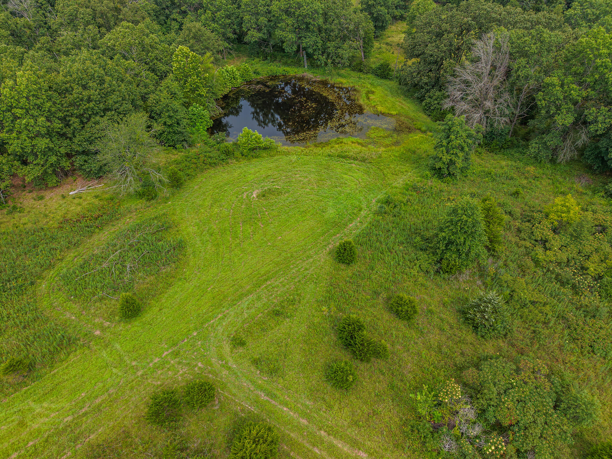 Photo 82 - Land for sale – 0000 NE 251 Road  Osceola, MO