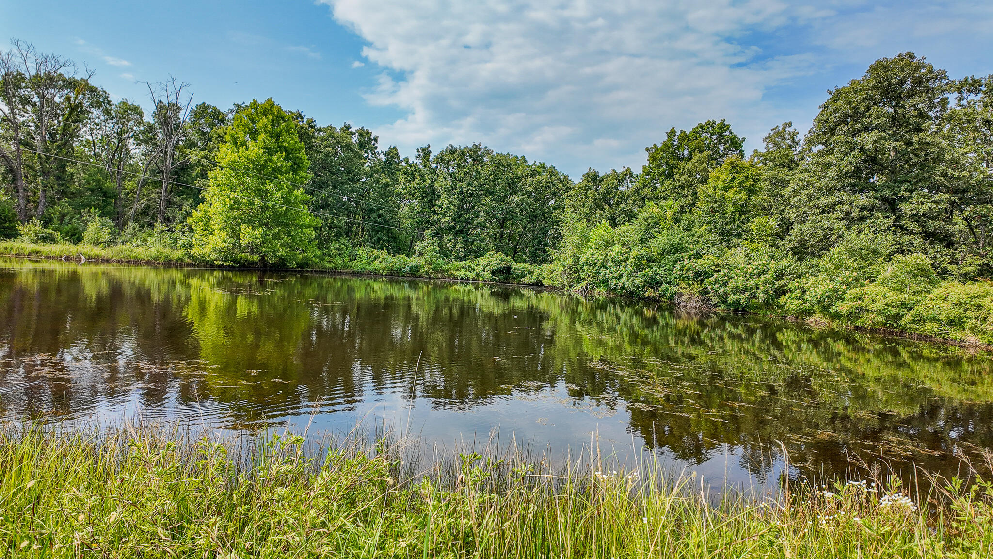 Photo 60 - Land for sale – 0000 NE 251 Road  Osceola, MO