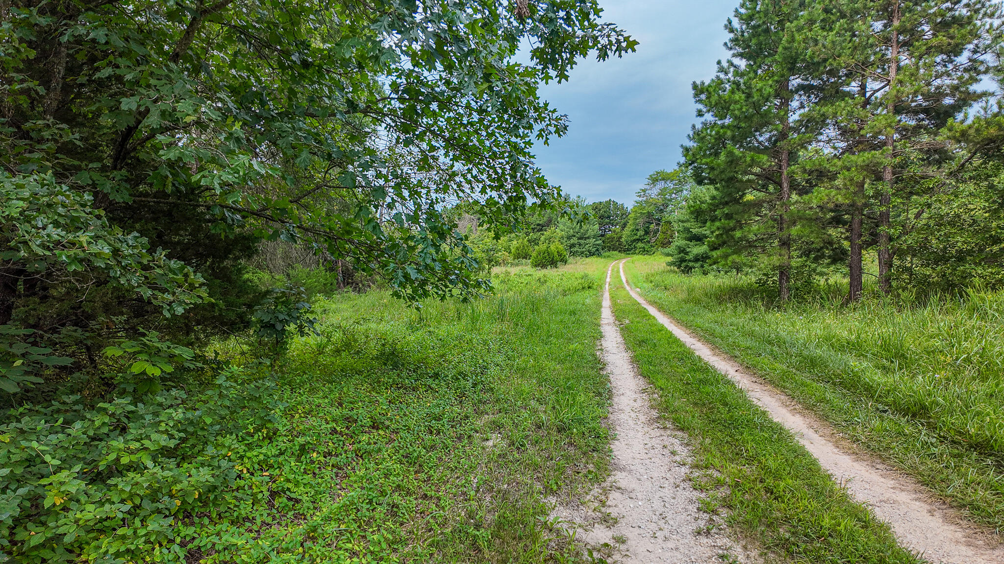 Photo 9 - Land for sale – 0000 NE 251 Road  Osceola, MO