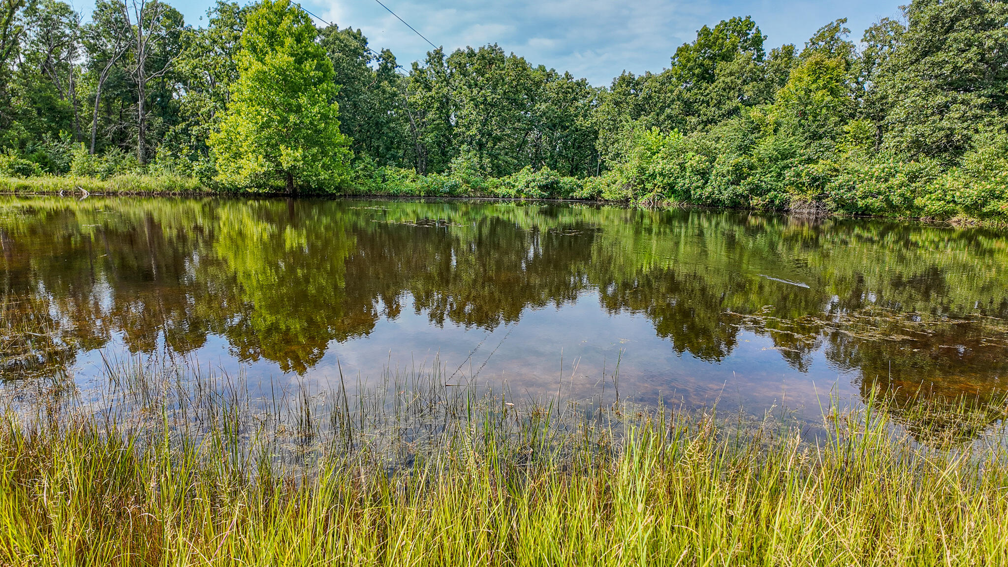 Photo 2 - Land for sale – 0000 NE 251 Road  Osceola, MO