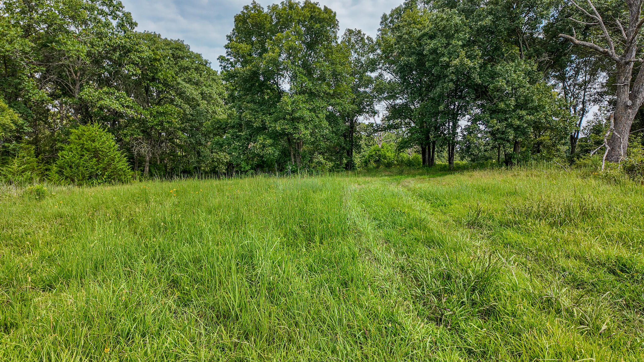 Photo 57 - Land for sale – 0000 NE 251 Road  Osceola, MO