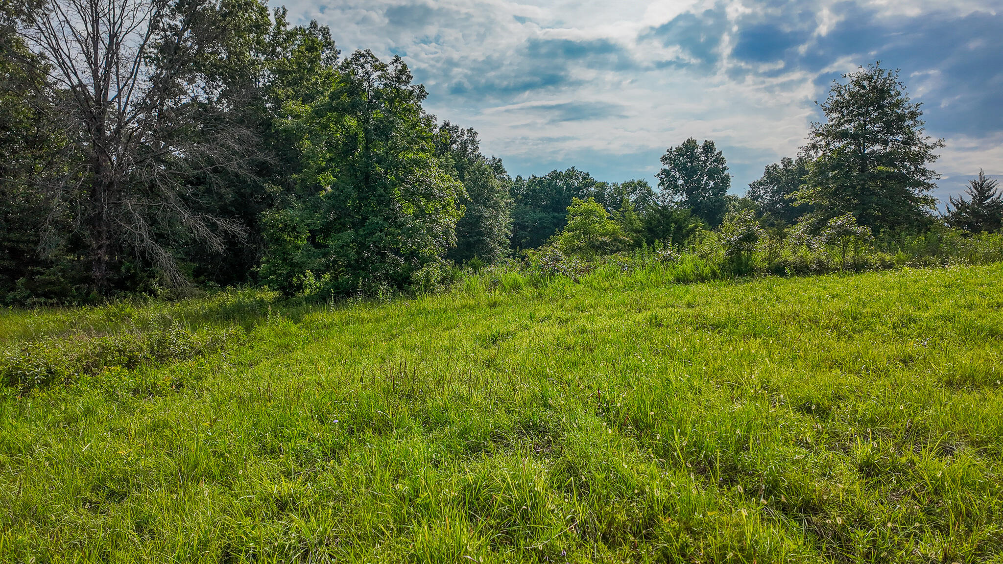 Photo 46 - Land for sale – 0000 NE 251 Road  Osceola, MO