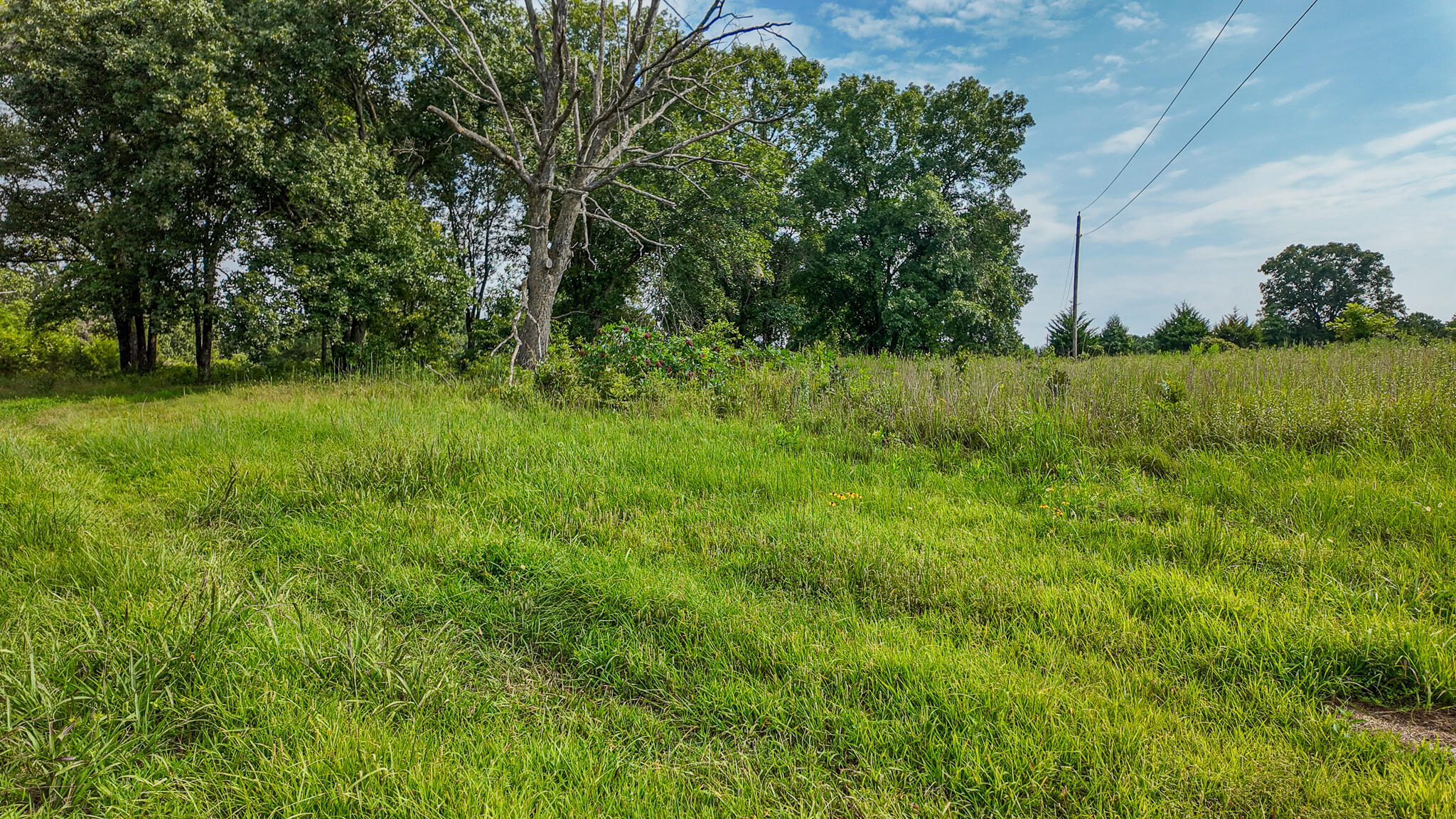 Photo 58 - Land for sale – 0000 NE 251 Road  Osceola, MO