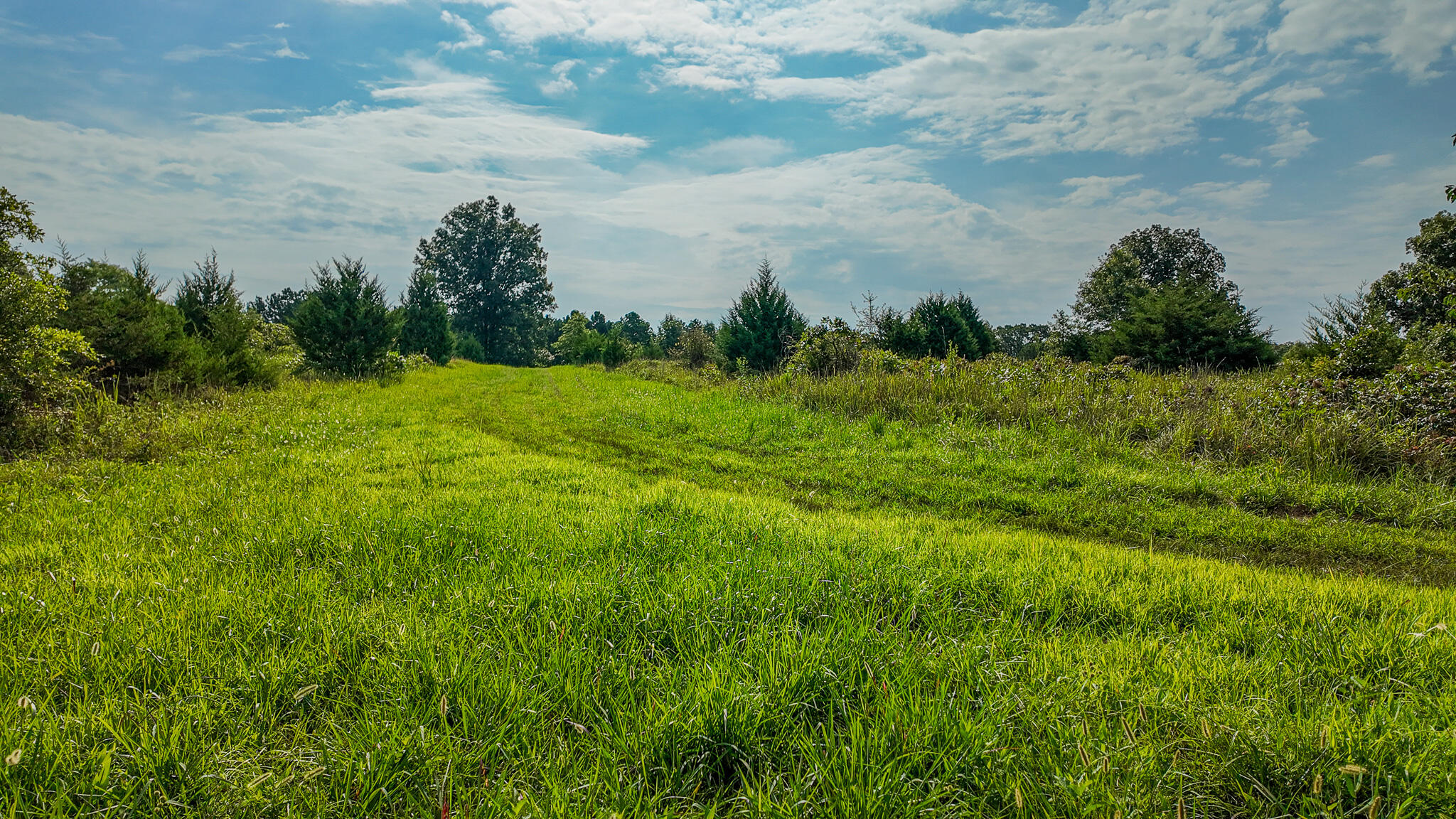 Photo 50 - Land for sale – 0000 NE 251 Road  Osceola, MO
