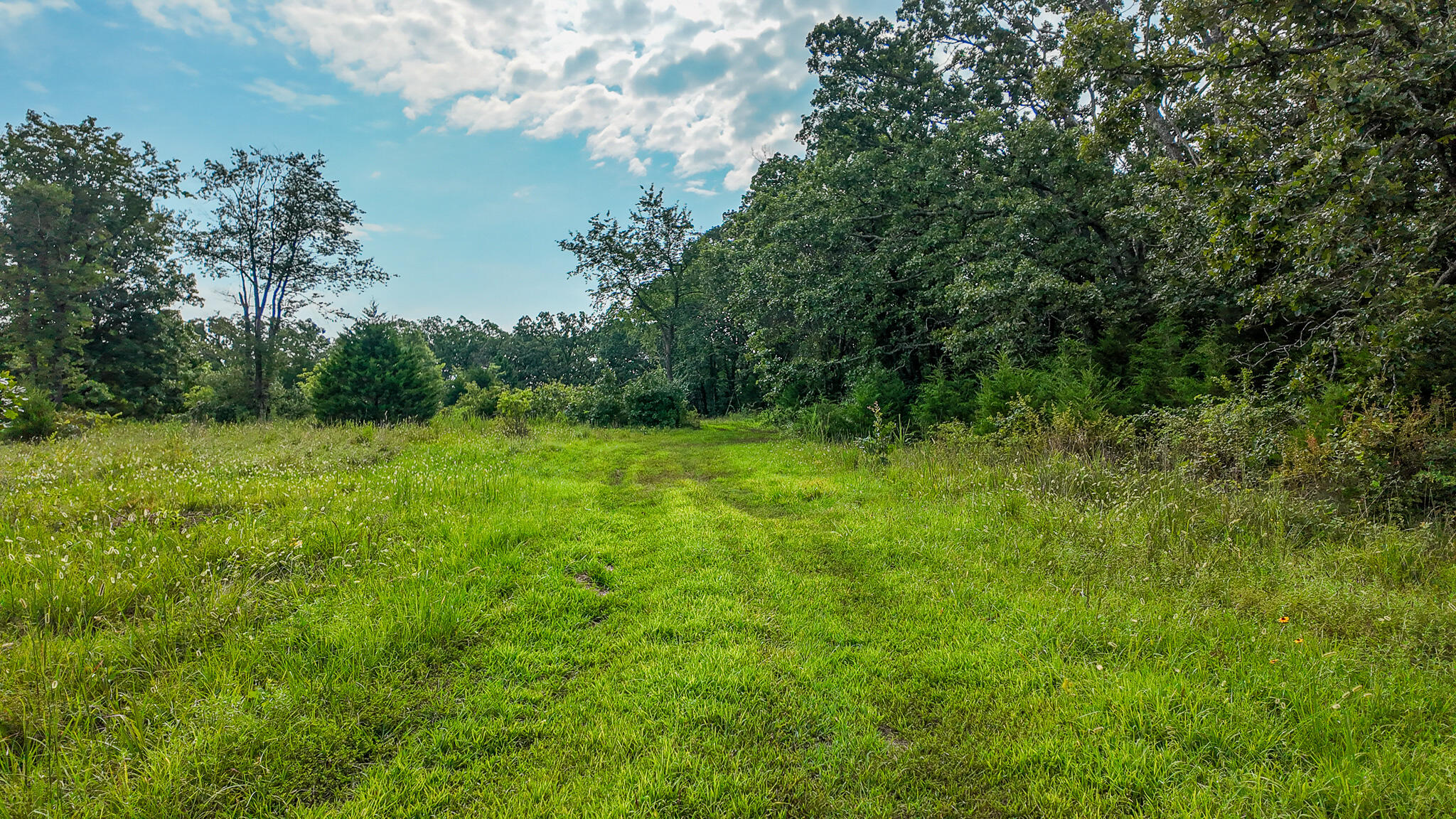 Photo 61 - Land for sale – 0000 NE 251 Road  Osceola, MO
