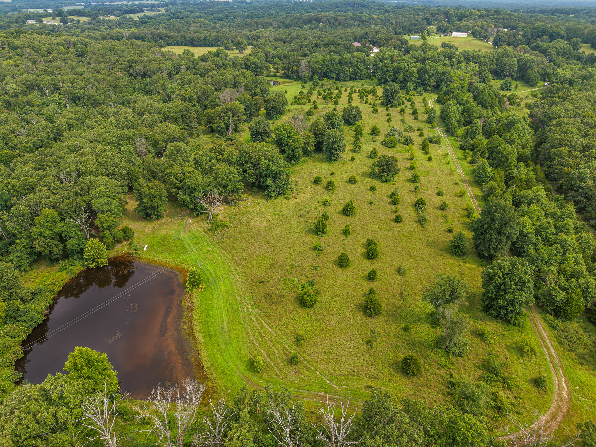 Photo 80 - Land for sale – 0000 NE 251 Road  Osceola, MO