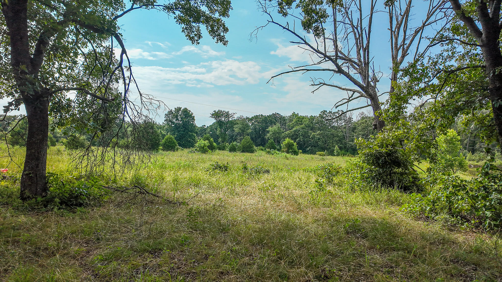 Photo 54 - Land for sale – 0000 NE 251 Road  Osceola, MO