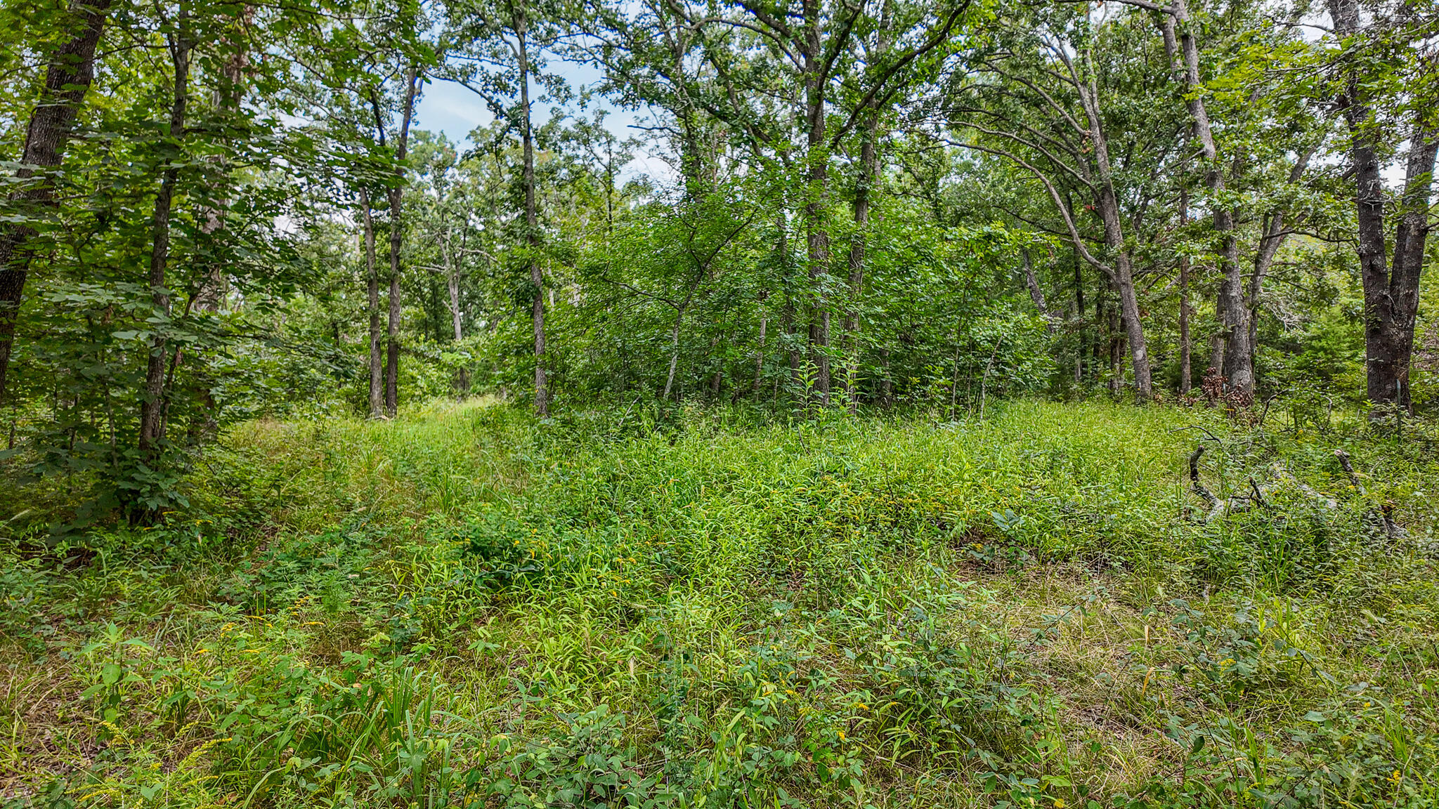 Photo 32 - Land for sale – 0000 NE 251 Road  Osceola, MO