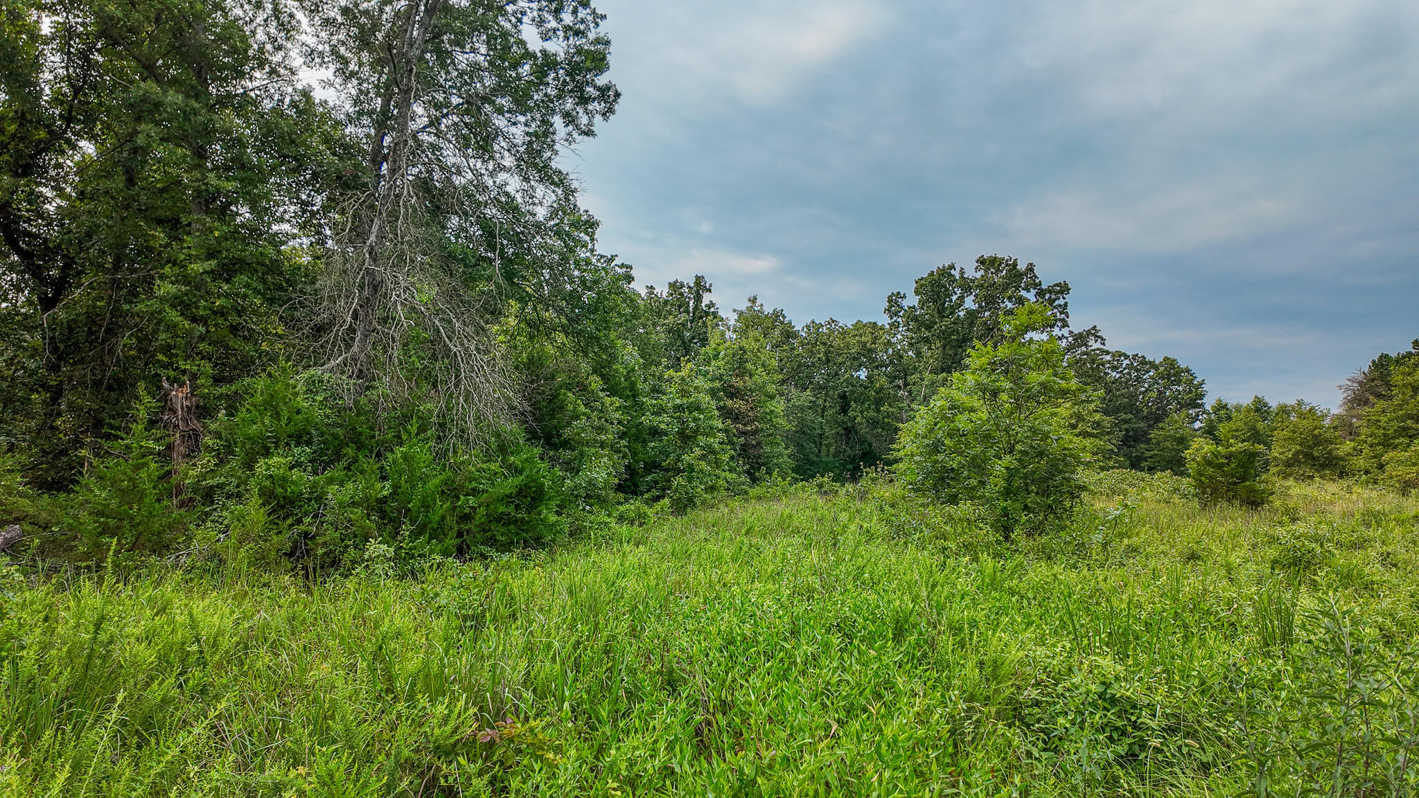 Photo 13 - Land for sale – 0000 NE 251 Road  Osceola, MO