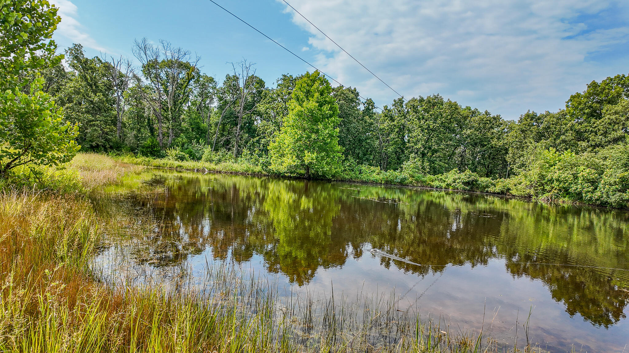 Photo 59 - Land for sale – 0000 NE 251 Road  Osceola, MO