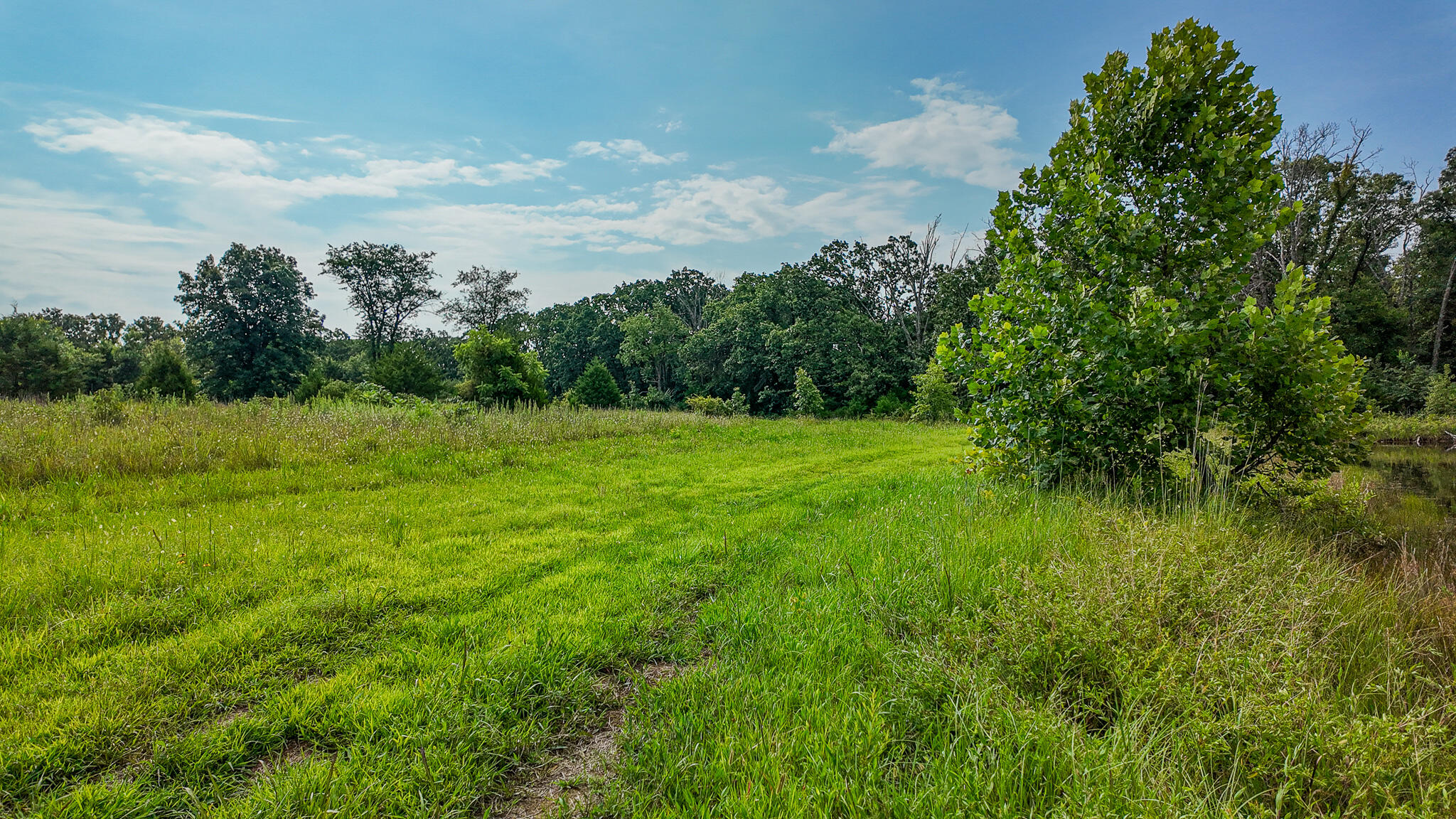 Photo 56 - Land for sale – 0000 NE 251 Road  Osceola, MO