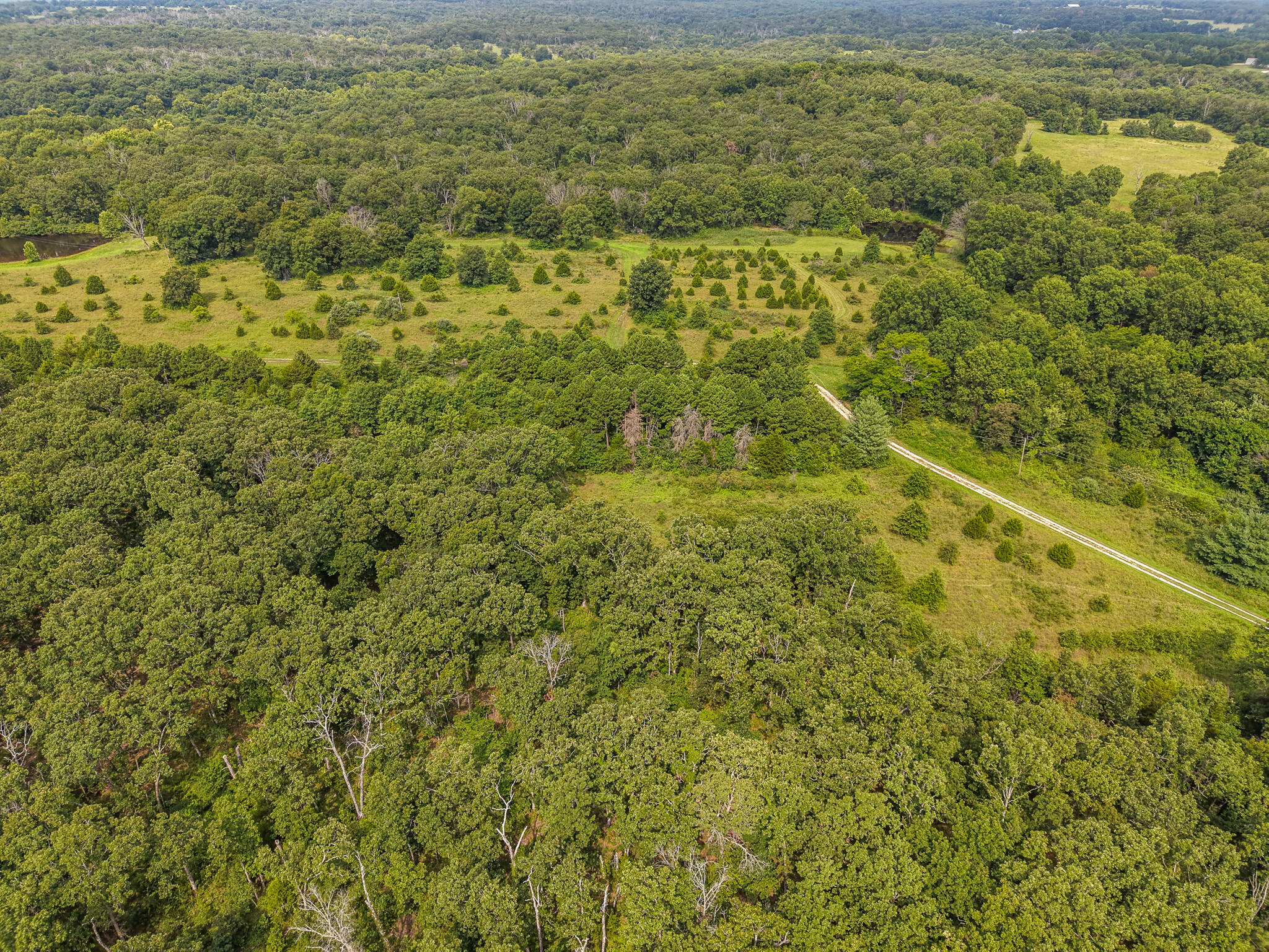 Photo 65 - Land for sale – 0000 NE 251 Road  Osceola, MO