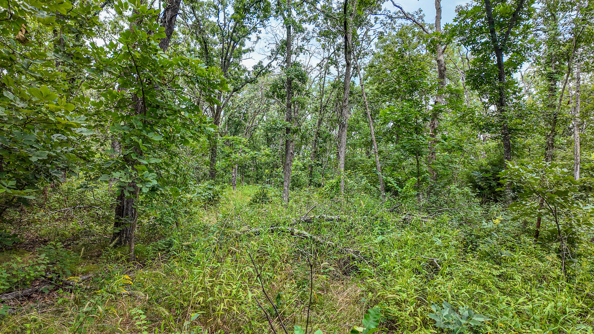 Photo 36 - Land for sale – 0000 NE 251 Road  Osceola, MO