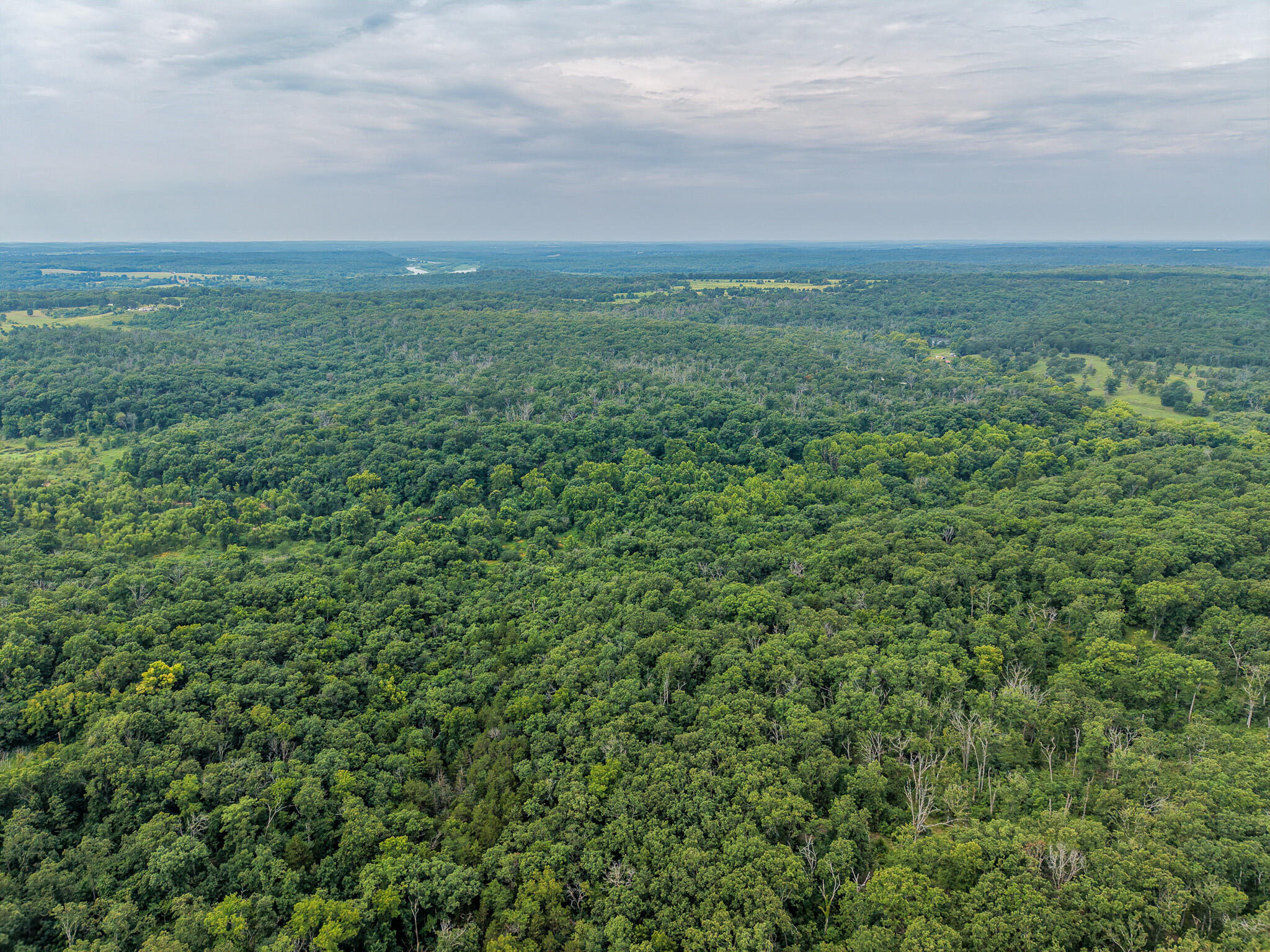 Photo 72 - Land for sale – 0000 NE 251 Road  Osceola, MO