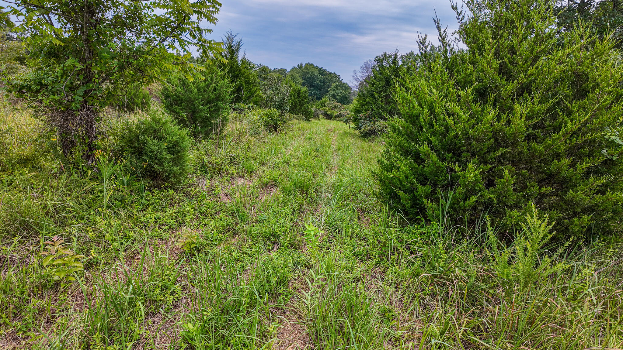 Photo 26 - Land for sale – 0000 NE 251 Road  Osceola, MO