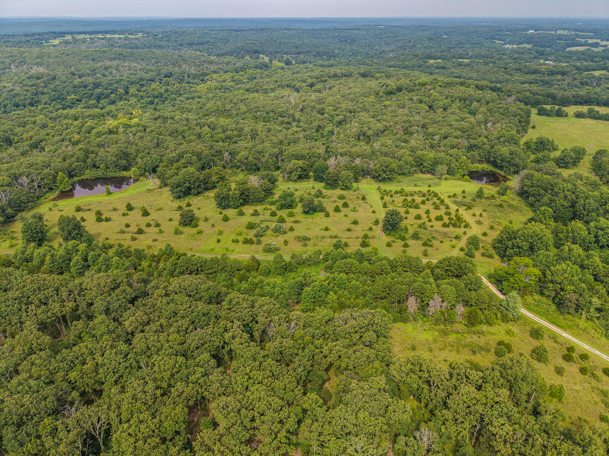 Photo 66 - Land for sale – 0000 NE 251 Road  Osceola, MO