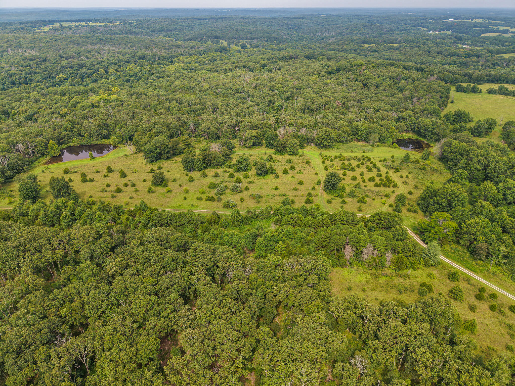 Photo 67 - Land for sale – 0000 NE 251 Road  Osceola, MO