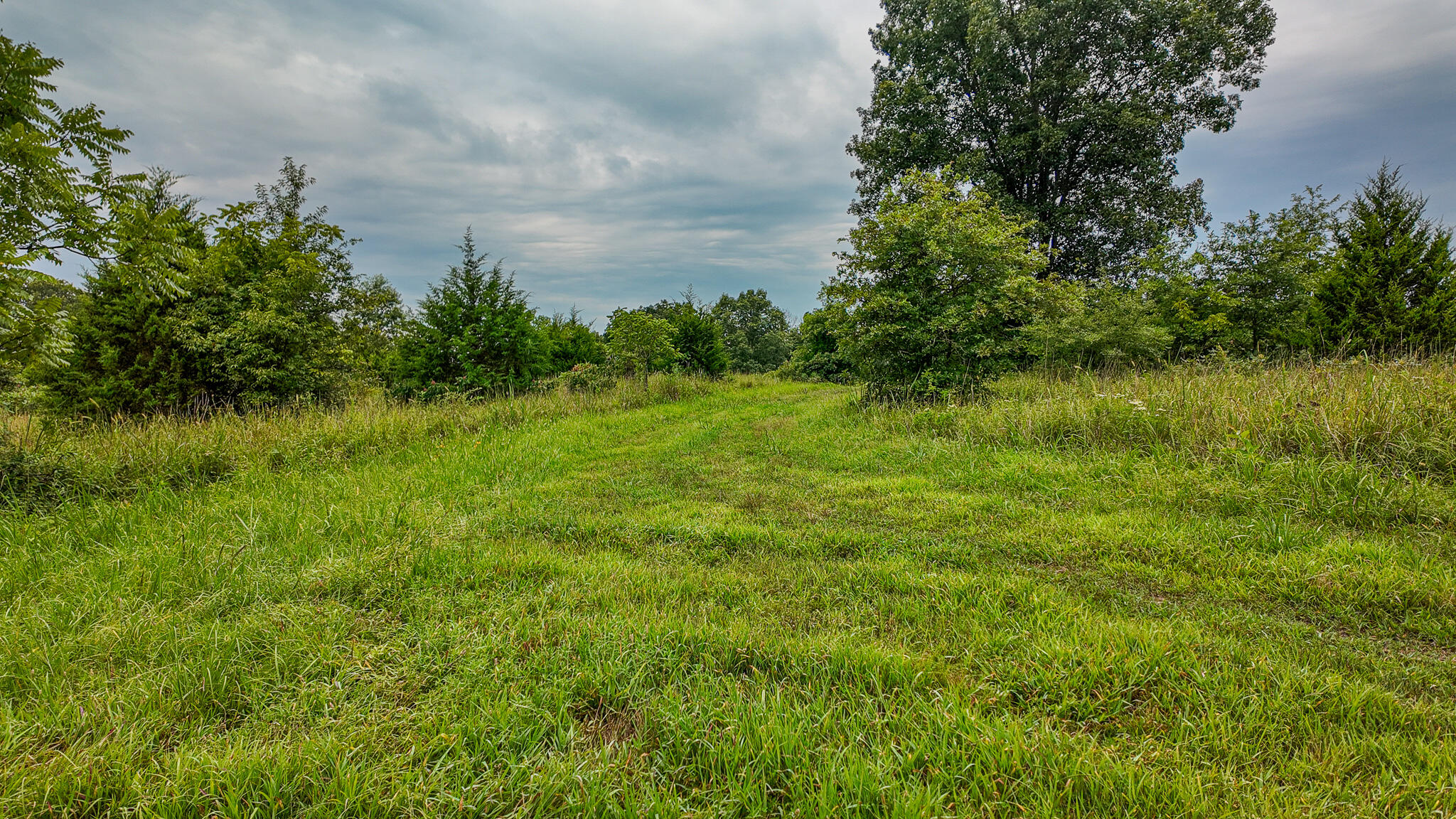 Photo 29 - Land for sale – 0000 NE 251 Road  Osceola, MO