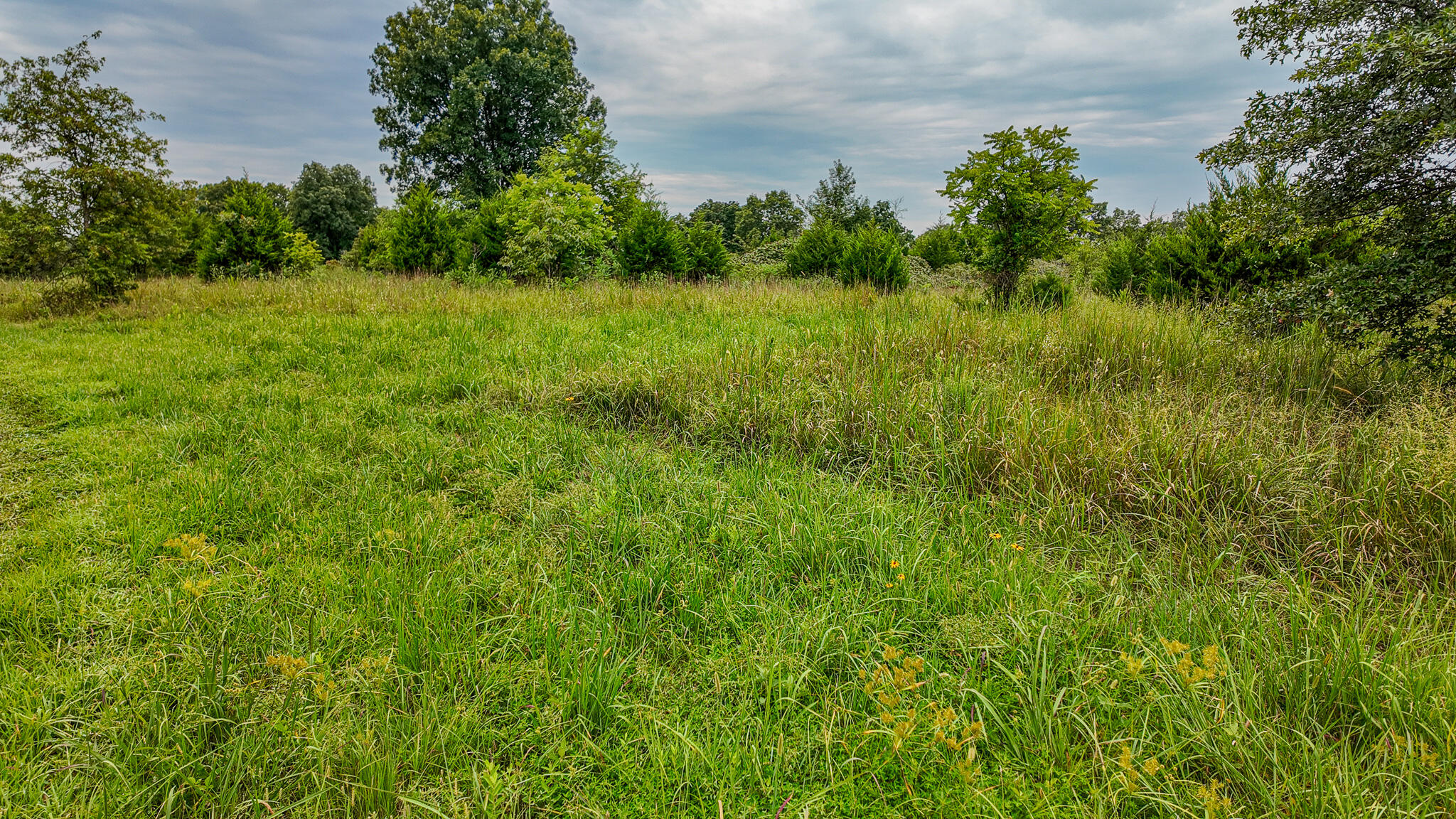 Photo 24 - Land for sale – 0000 NE 251 Road  Osceola, MO