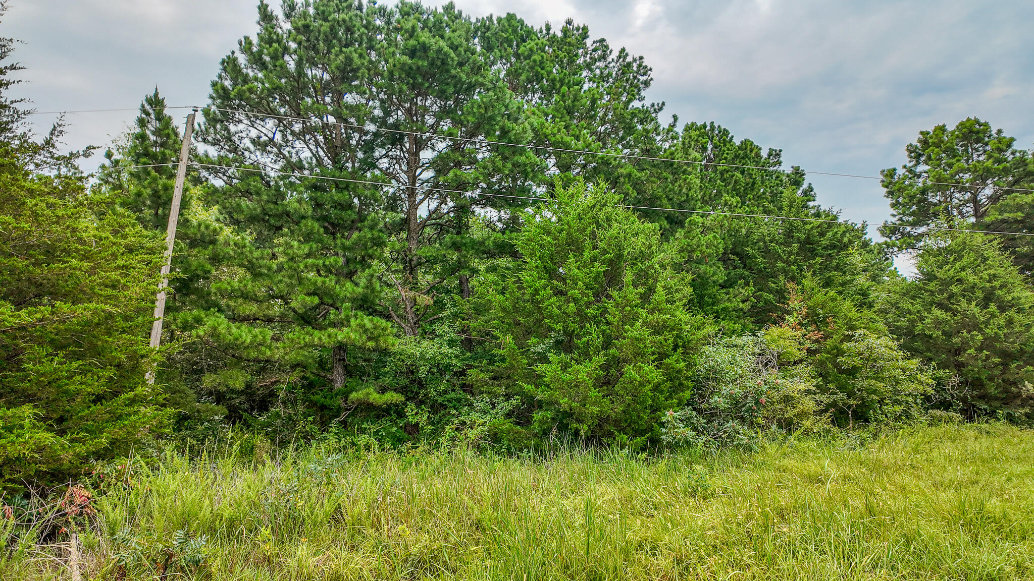 Photo 28 - Land for sale – 0000 NE 251 Road  Osceola, MO