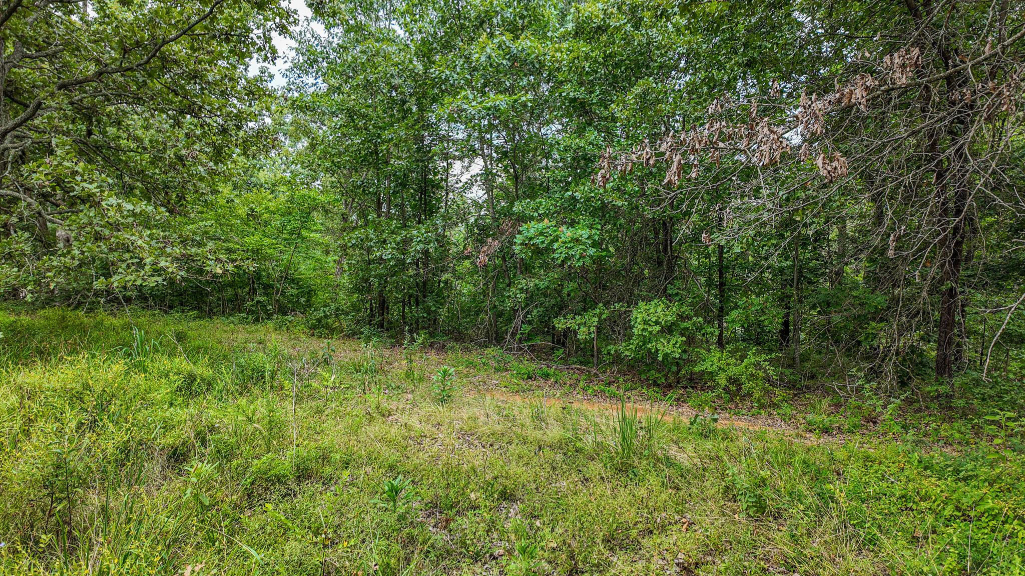 Photo 30 - Land for sale – 0000 NE 251 Road  Osceola, MO
